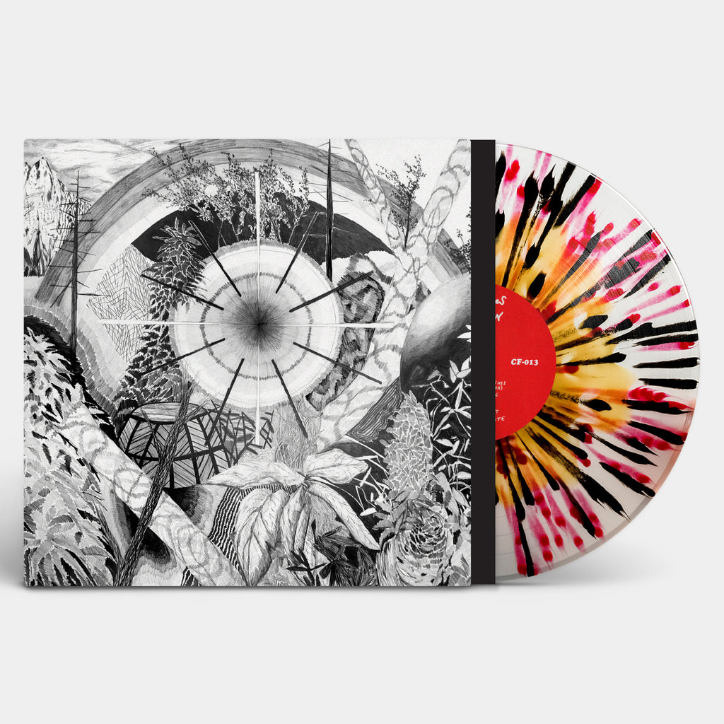 THEEOHSEES-DOGPOISON-SPLATTERVINYL_1024x1024.jpg