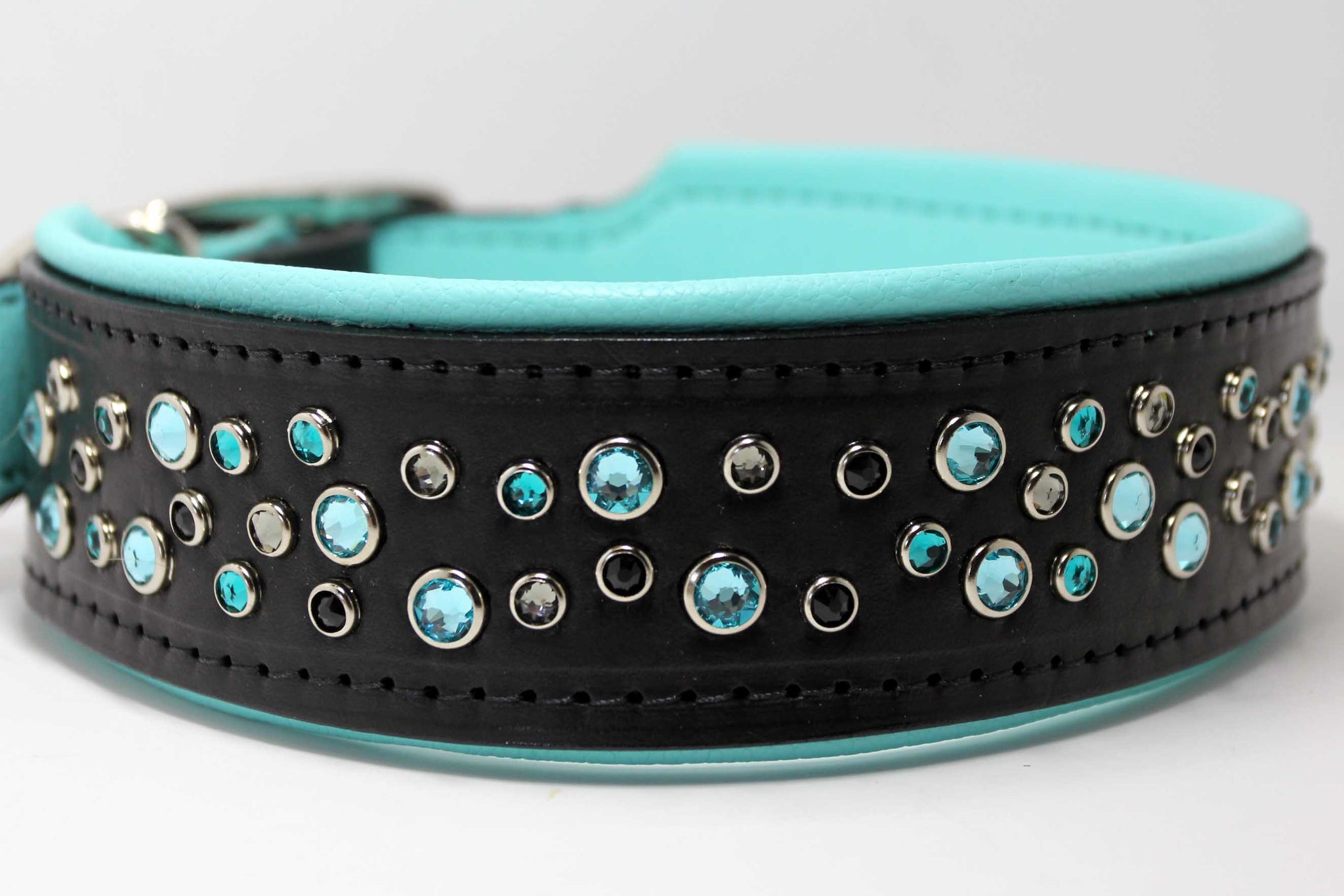 dog collar with turquoise stones