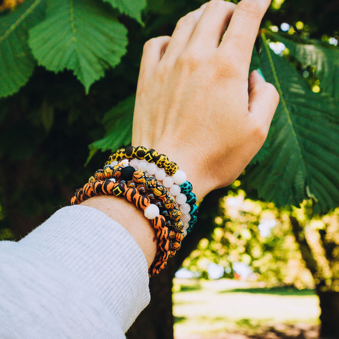 Monarch Butterfly Lokai