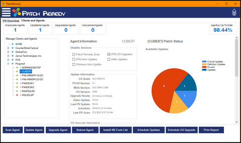 Patch Remedy Client View