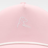 The Lasso | Solid - Flamingo Pink
