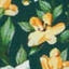 Ponderosa Green - The Yellow Jasmine