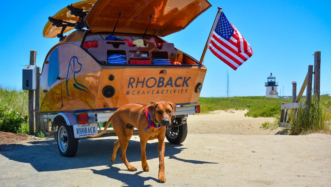 Bunker The Ridgeback