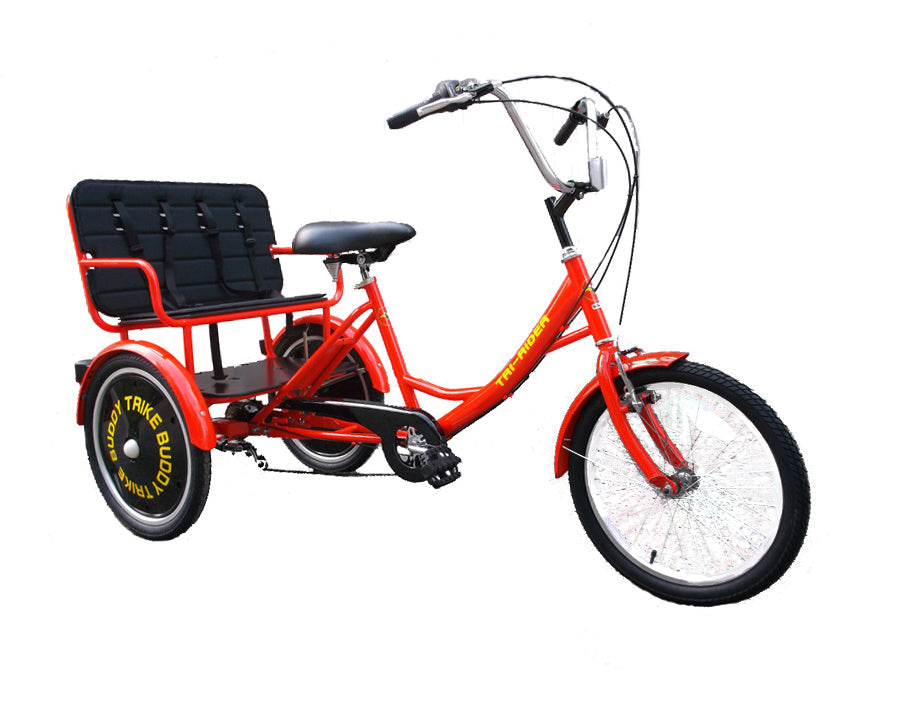 Трехколесный взрослый двухместный. Liliput трёхколёсный велосипед. Электровелосипед двухместный Тандем. Электровелосипед Тандем трицикл. 4х колесный электровелосипед.