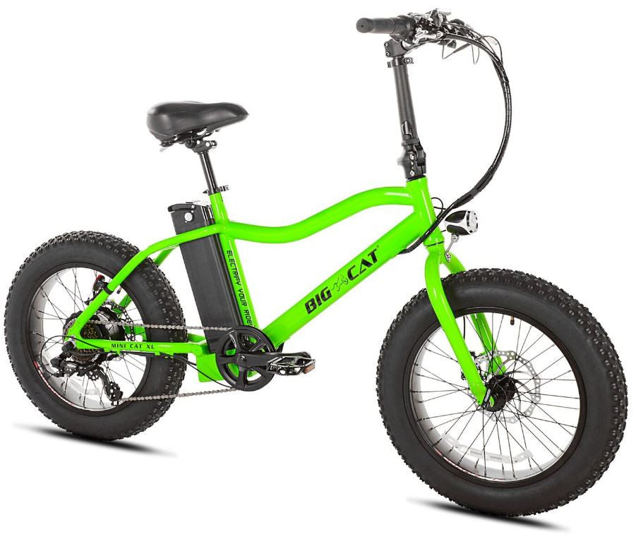 big cat electric bike