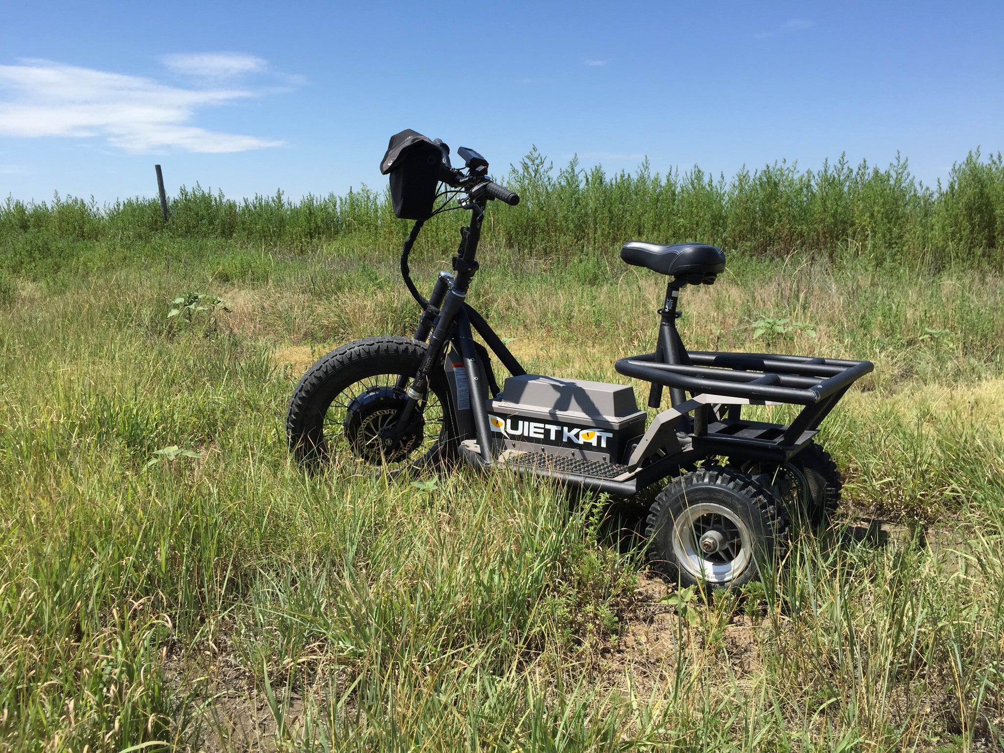 quiet cat trike