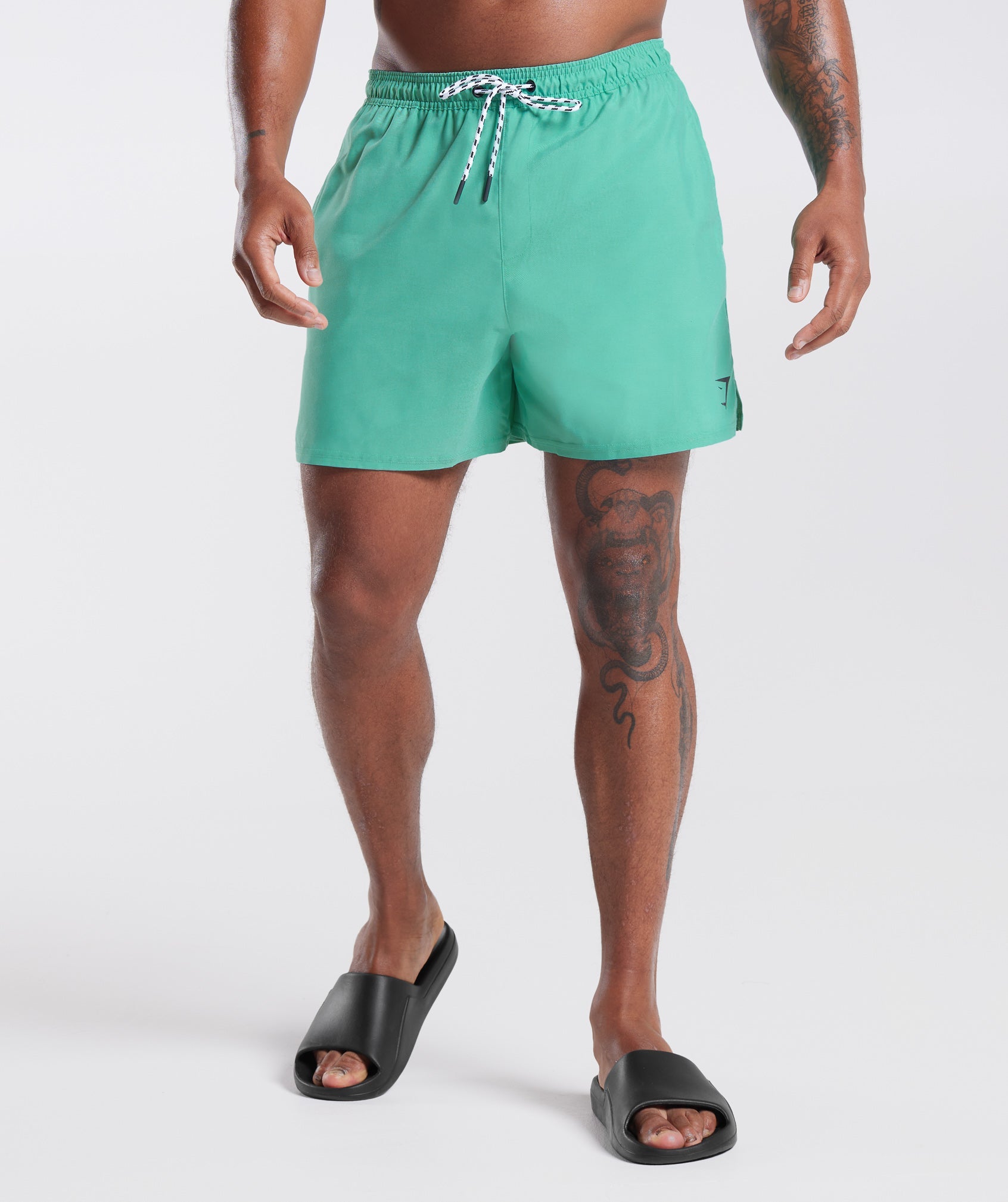 5" Swim Shorts in Oxidized Green - view 1