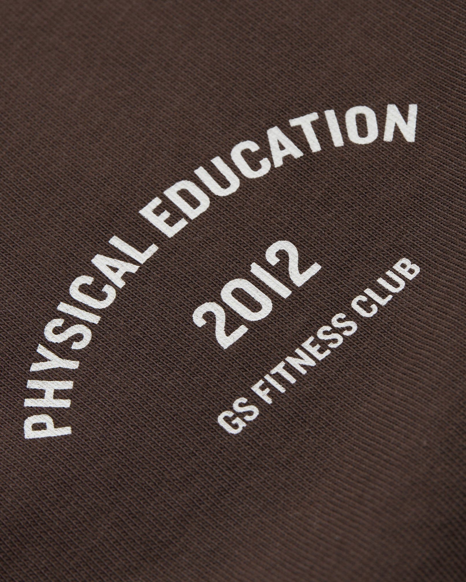 Phys Ed Graphic T-Shirt in Archive Brown - view 5