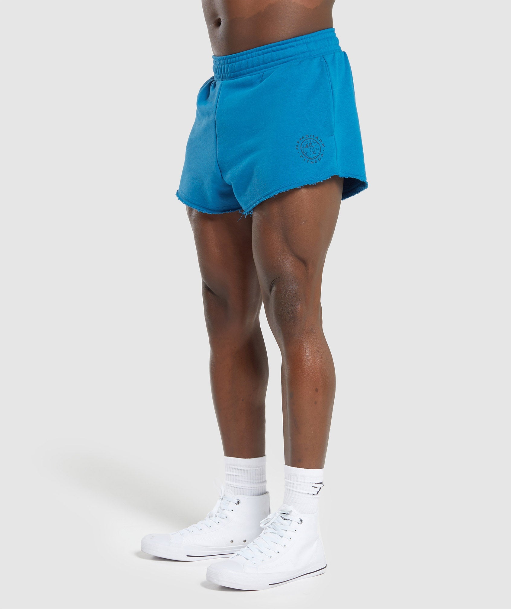 Legacy 4" Shorts in Retro Blue - view 3