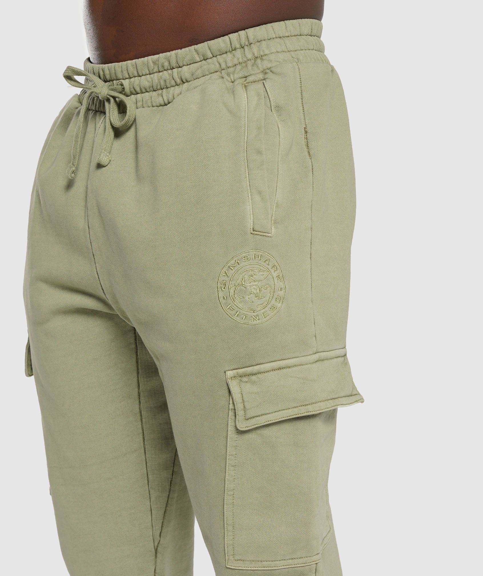 Premium Legacy Cargo Pants in Natural Sage Green - view 5