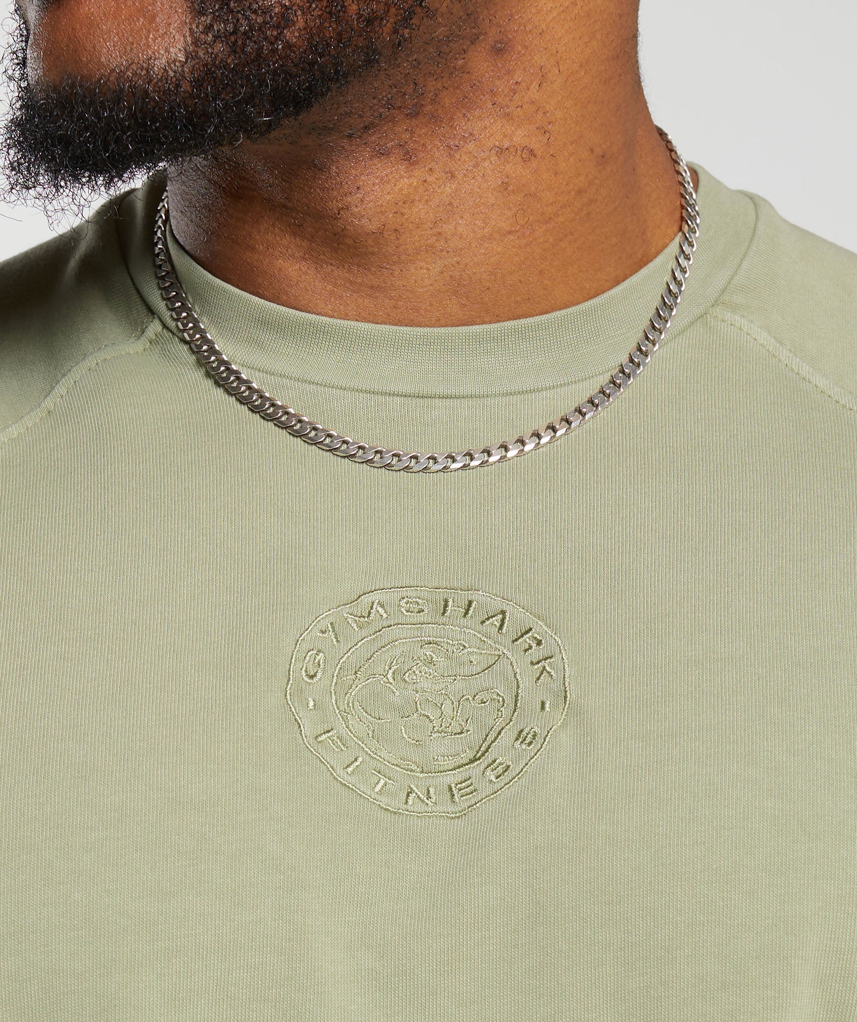 Premium Legacy T-Shirt in Natural Sage Green - view 5