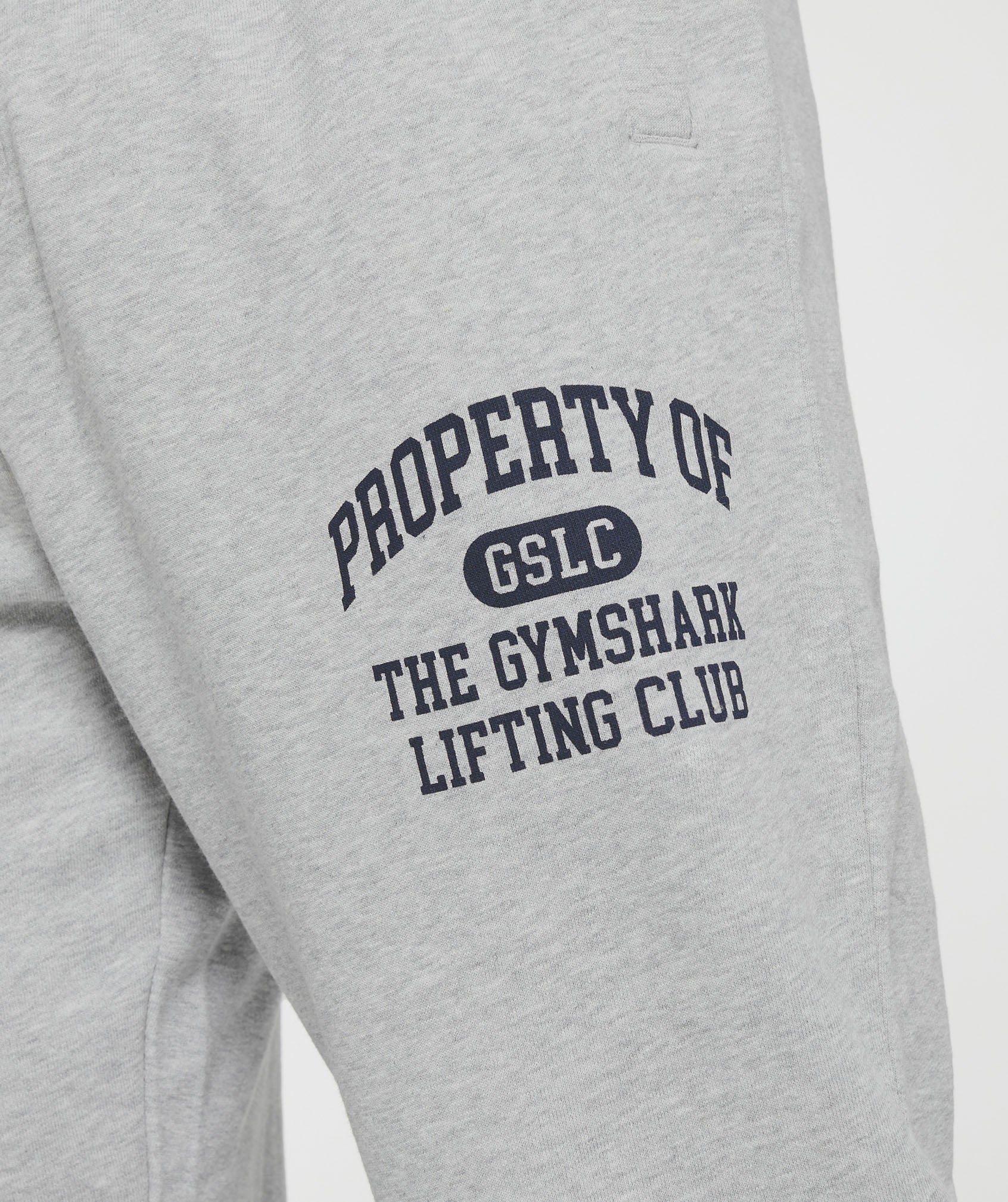 Property Of Joggers in Light Grey Core Marl - view 5