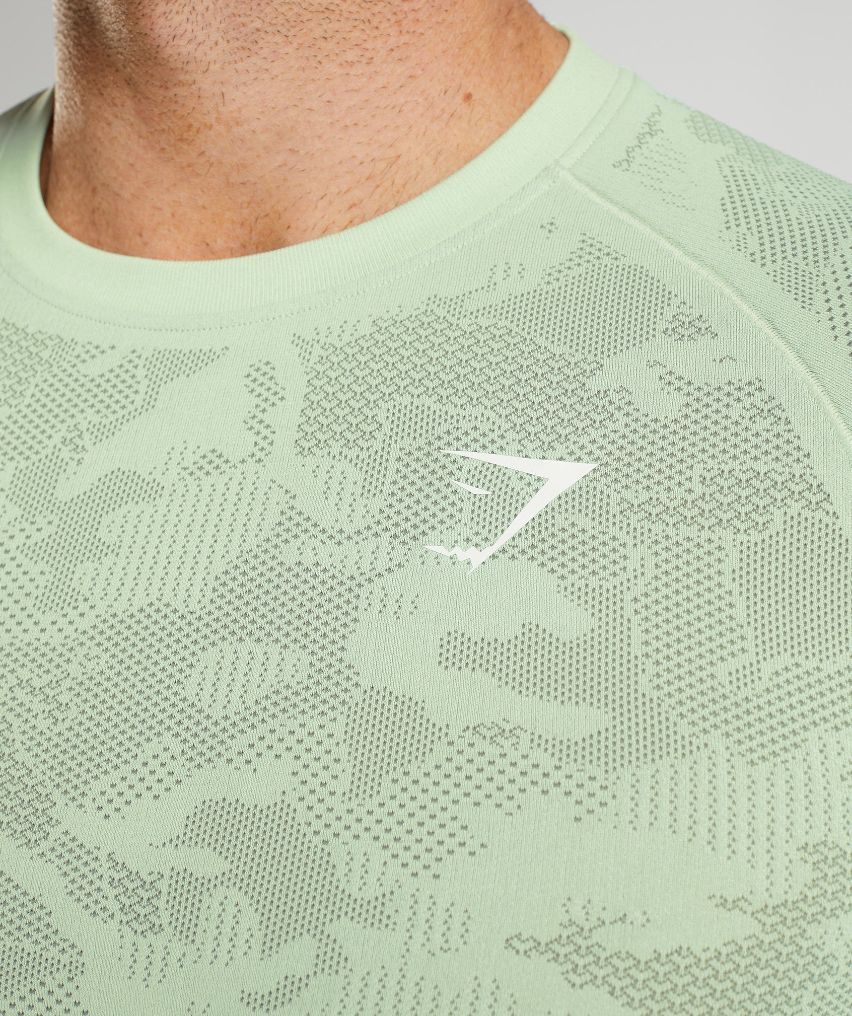 Gymshark Geo Seamless T-Shirt - Aloe Green/Tea Green