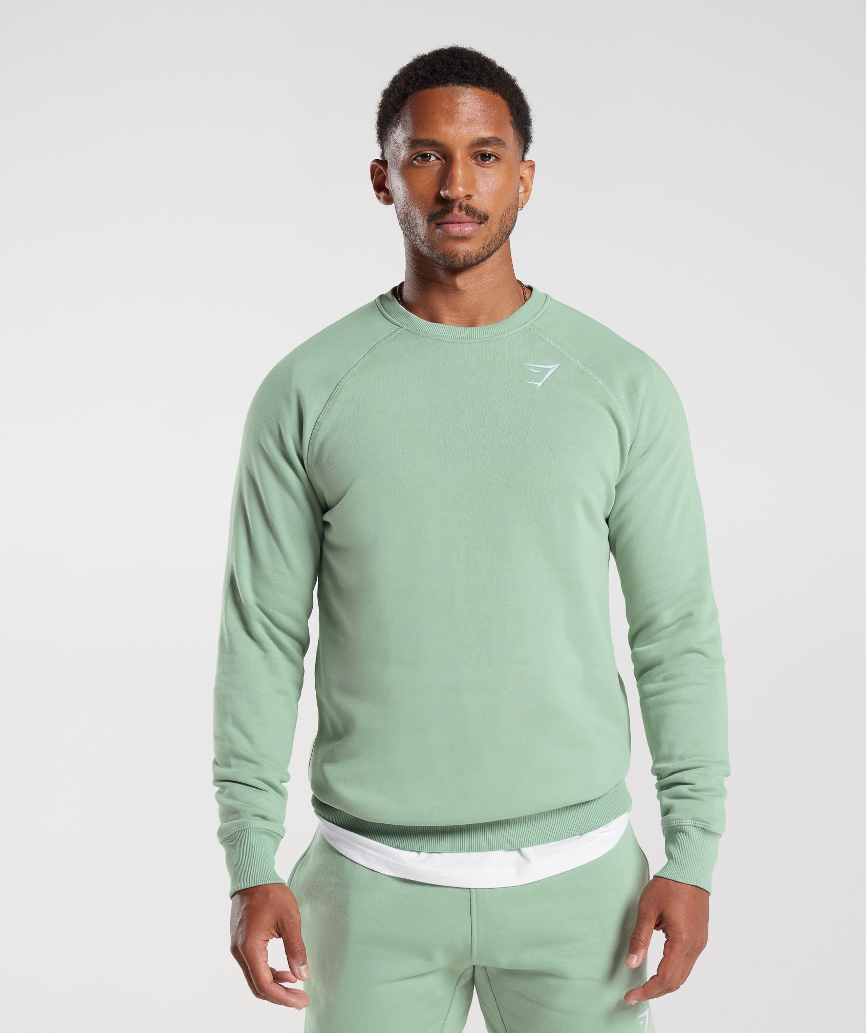 Crest Sweatshirt in Desert Sage Green