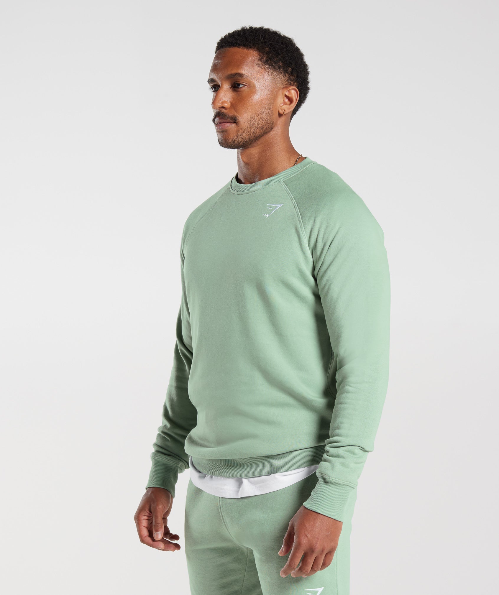 Crest Sweatshirt in Desert Sage Green