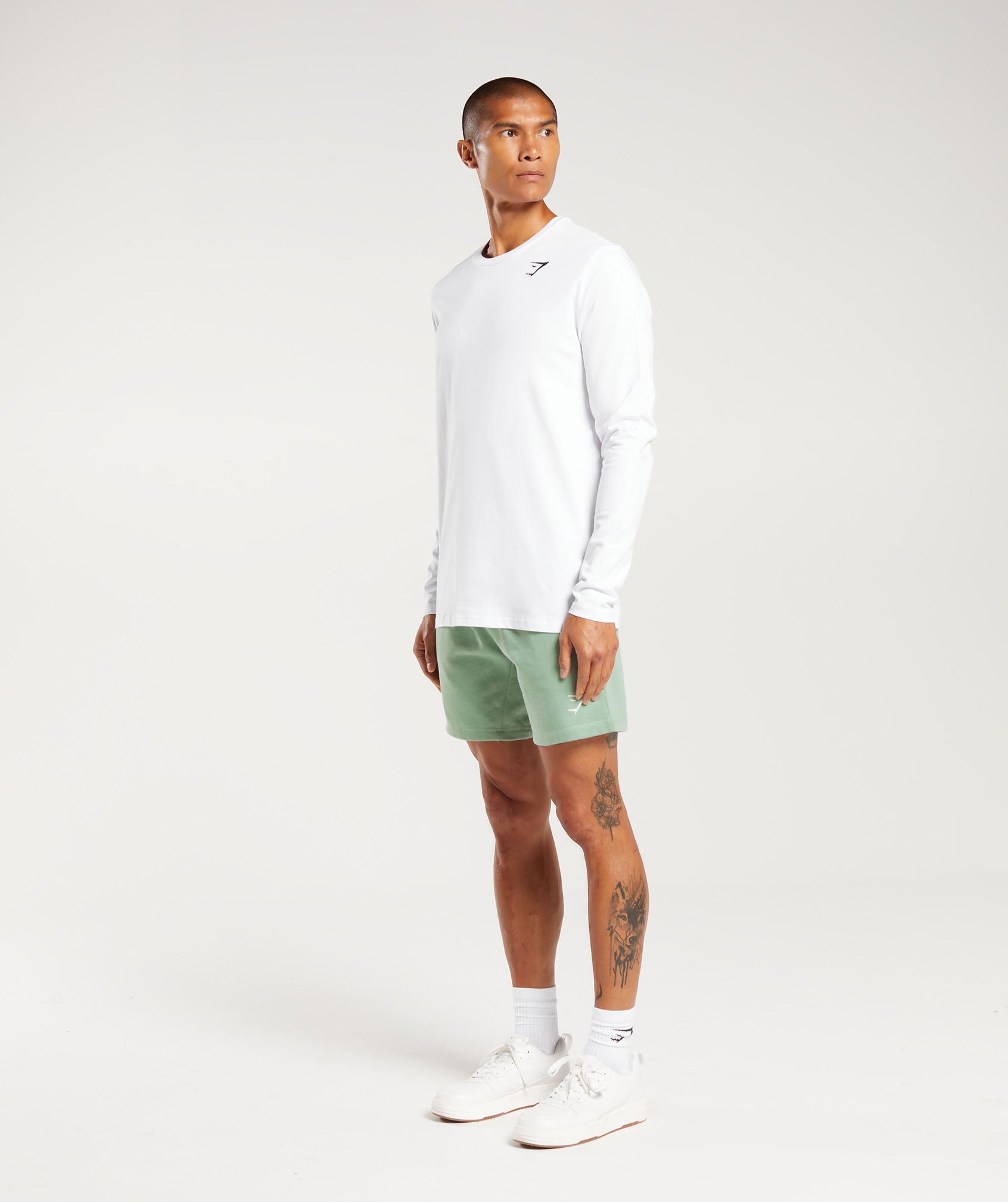 Crest Shorts in Desert Sage Green - view 4