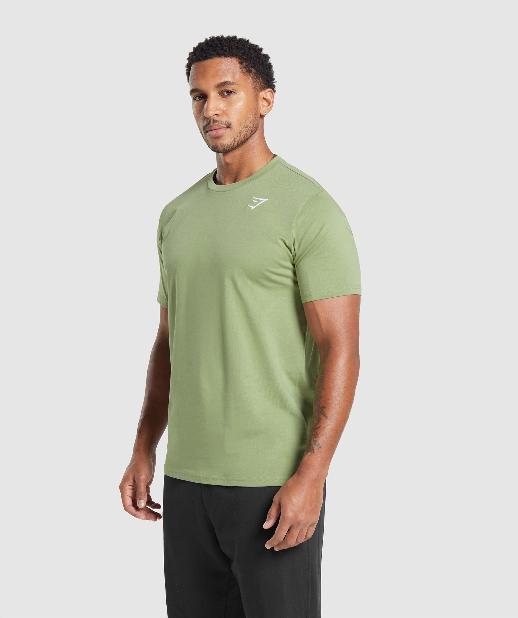Crest T-Shirt in Natural Sage Green - view 3