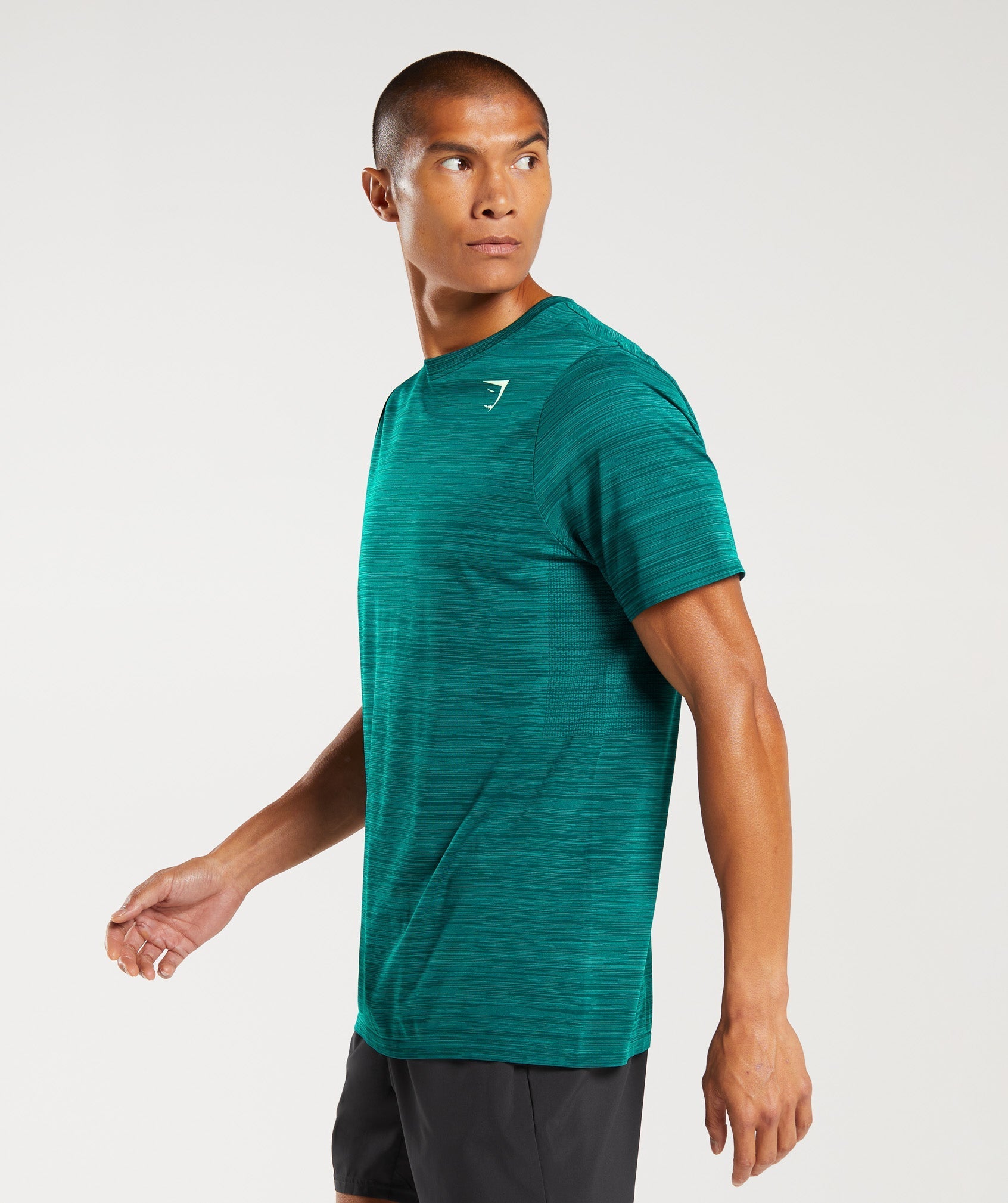 Gymshark Heather Seamless T-Shirt - Deep Teal/Seafoam Blue Marl