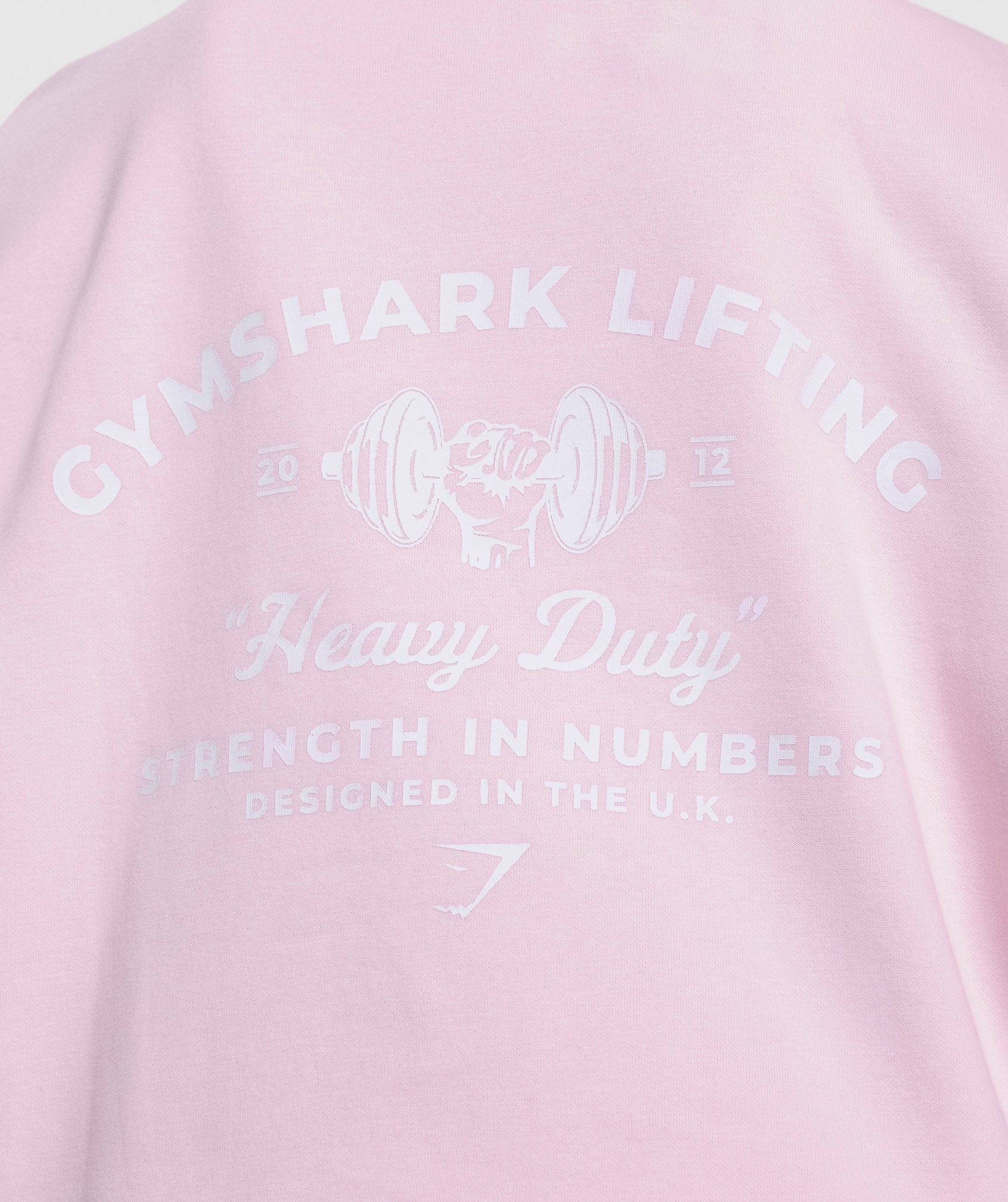 Heavy Duty Oversized Sweatshirt in Lemonade Pink - view 5