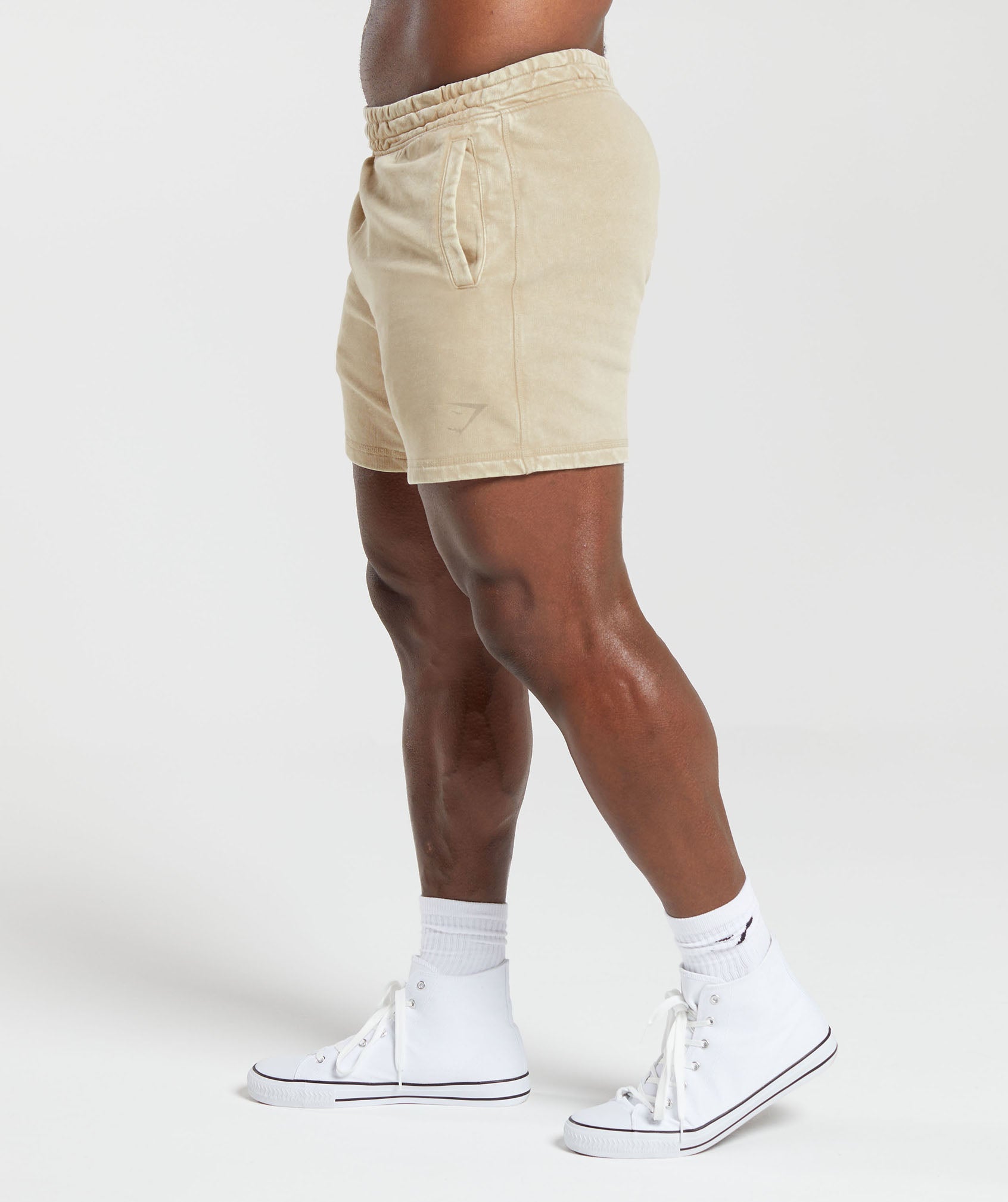 Heritage 5" Shorts in Desert Beige - view 3