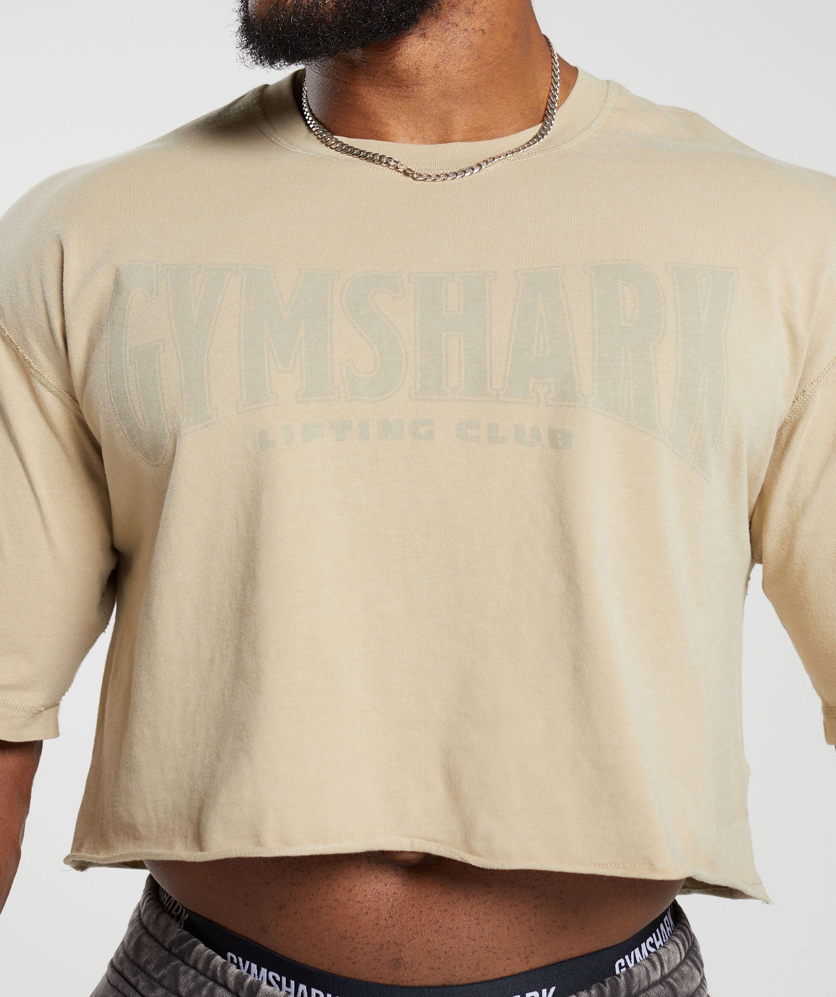 Heritage Washed Crop T-Shirt in Desert Beige - view 6