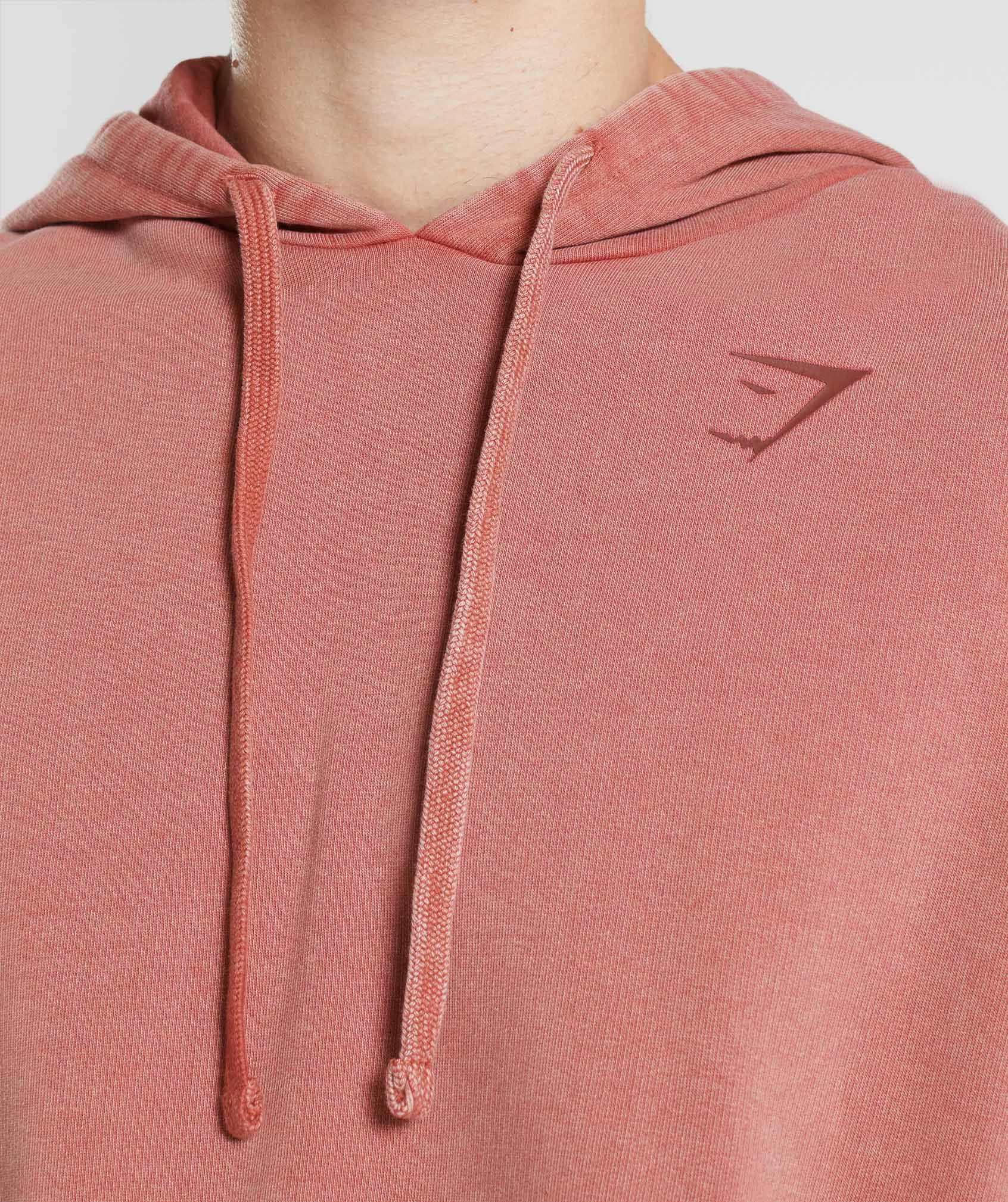 Power Washed Hoodie in Rose Brown - view 5