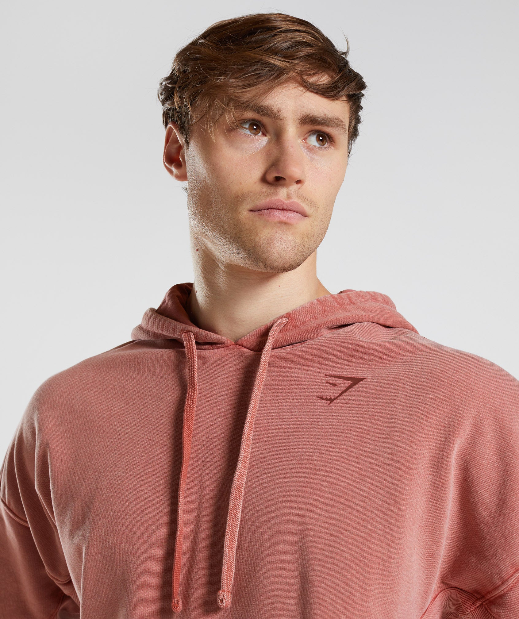 Power Washed Hoodie in Rose Brown - view 3