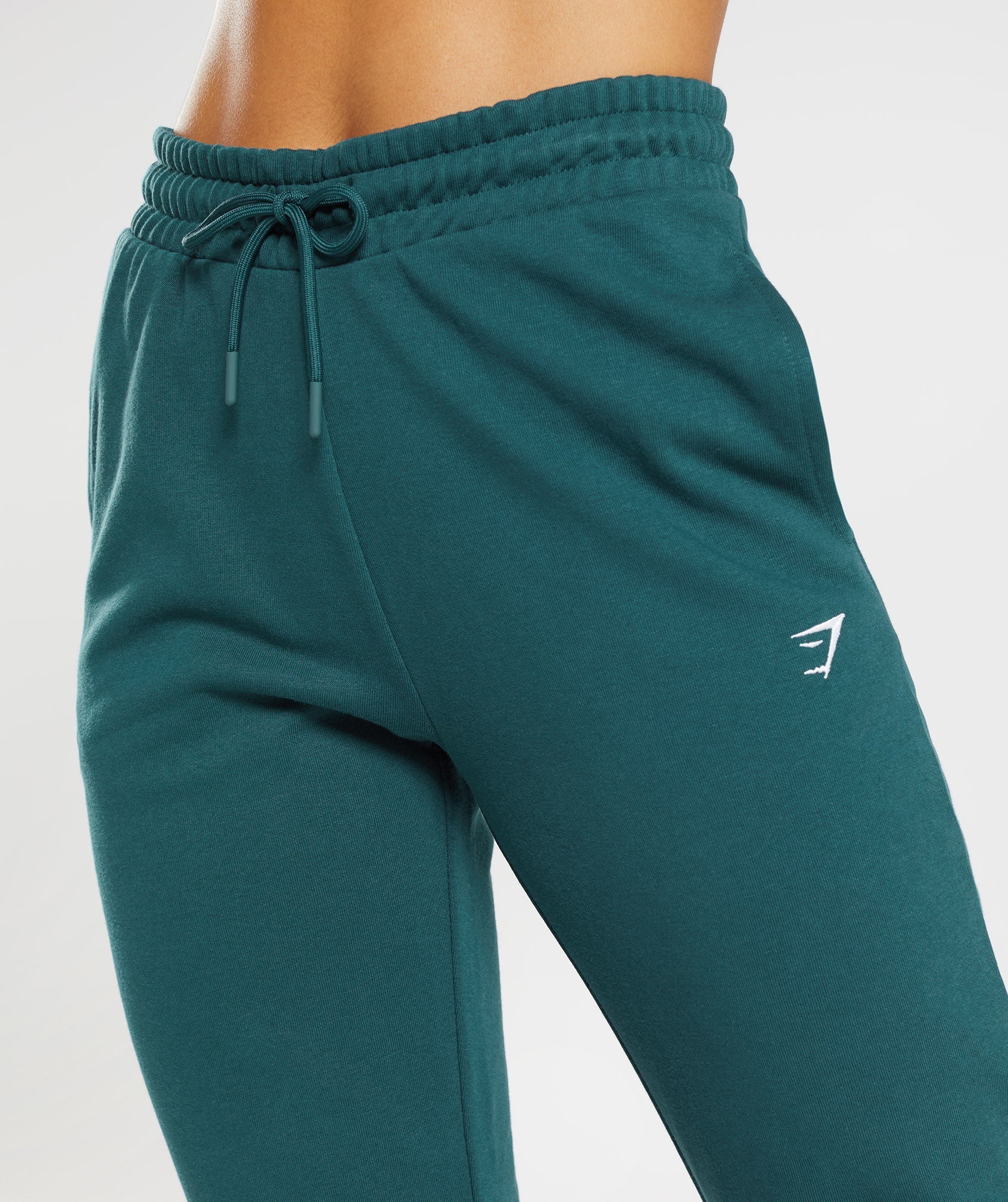 Training Joggers in Winter Teal