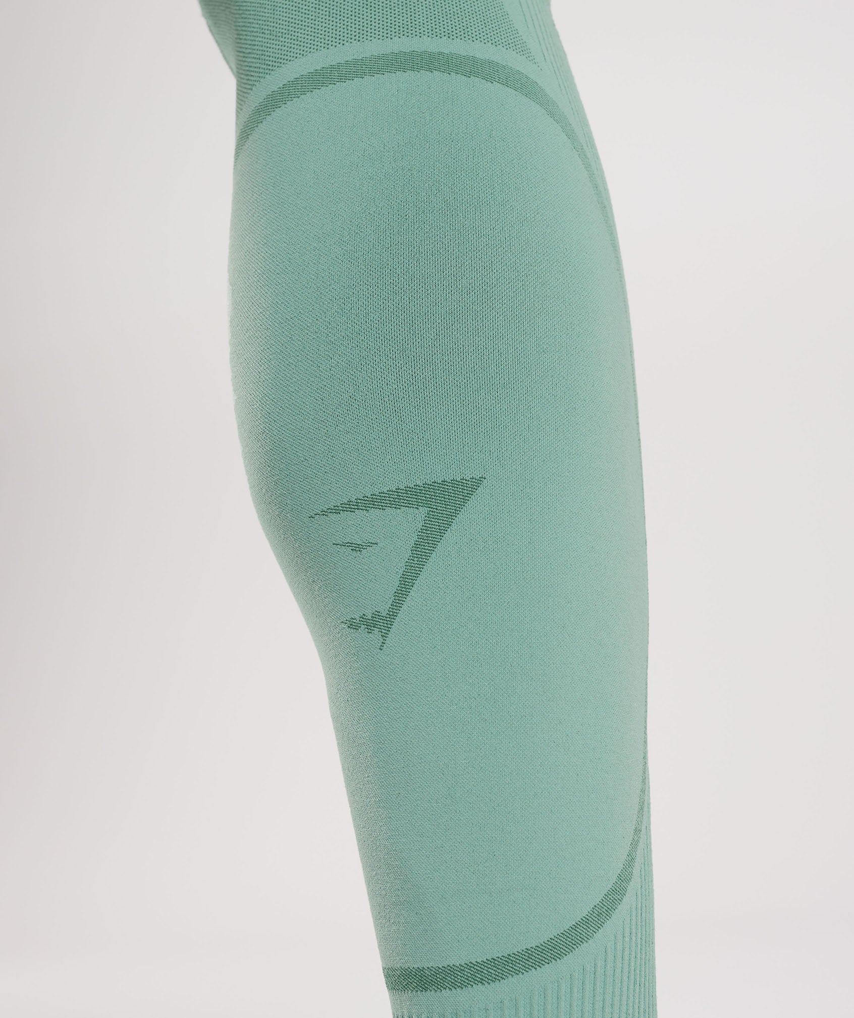 315 Seamless Tights in Ink Teal/Jewel Green