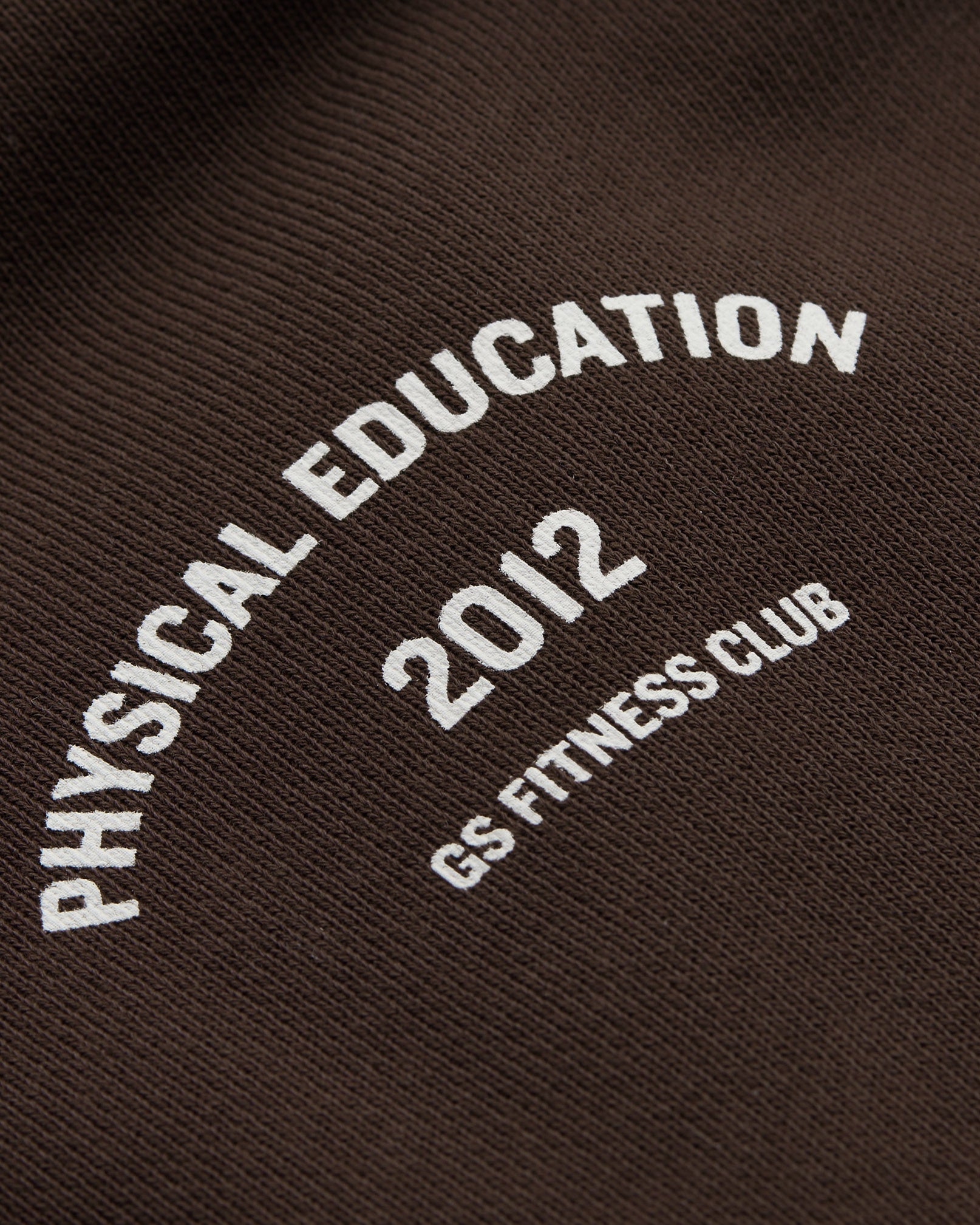 Phys Ed Graphic Hoodie in Archive Brown - view 6