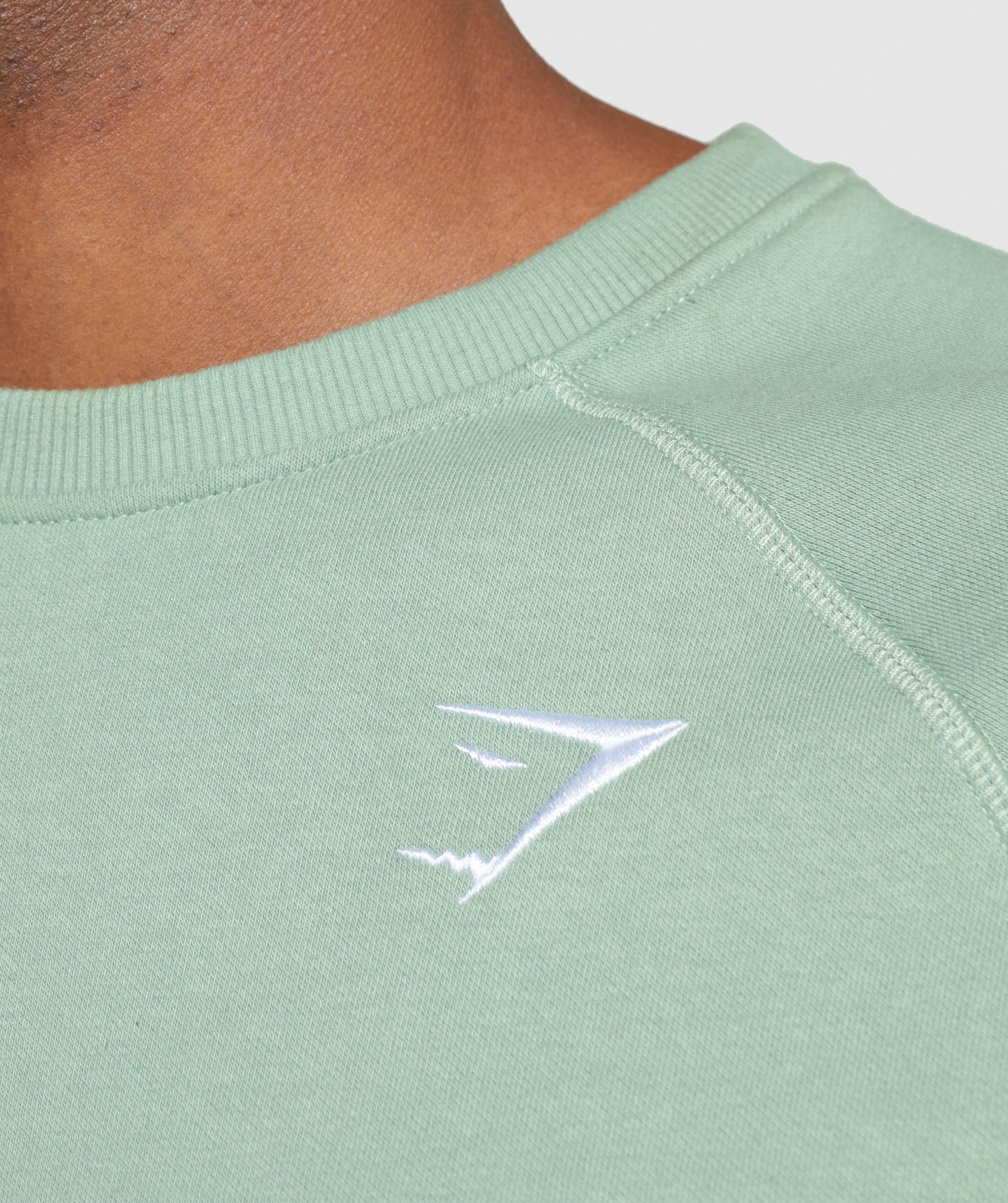 Crest Sweatshirt in Desert Sage Green