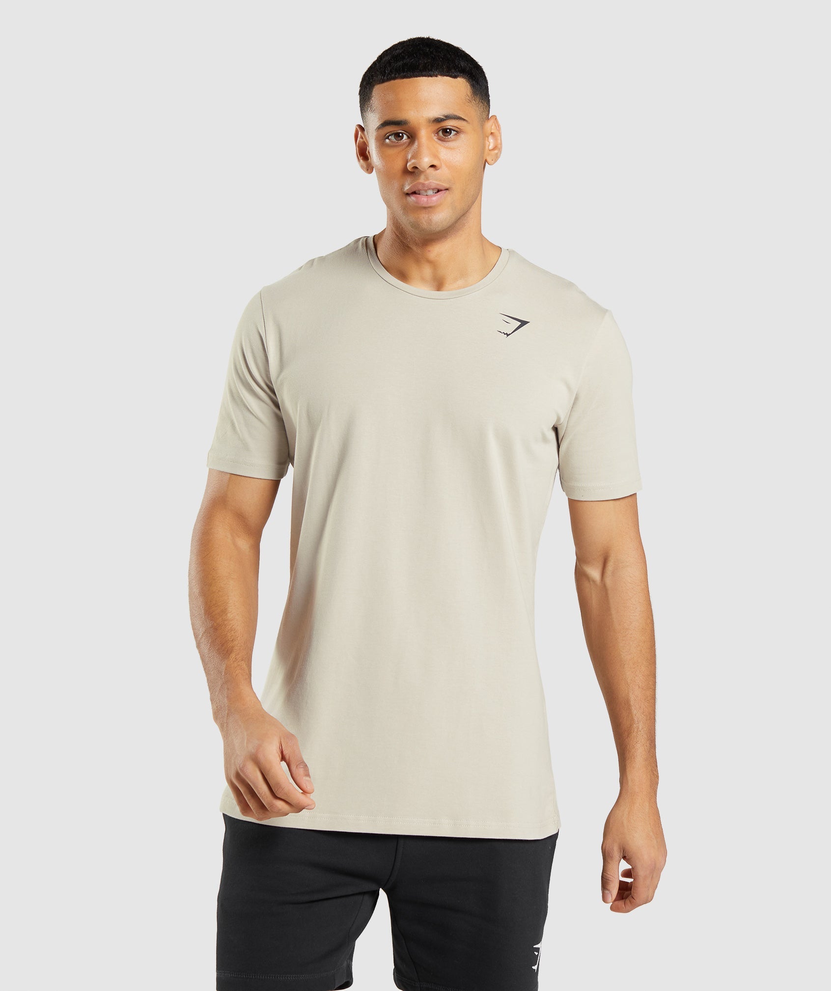 Essential T-Shirt in Pebble Grey