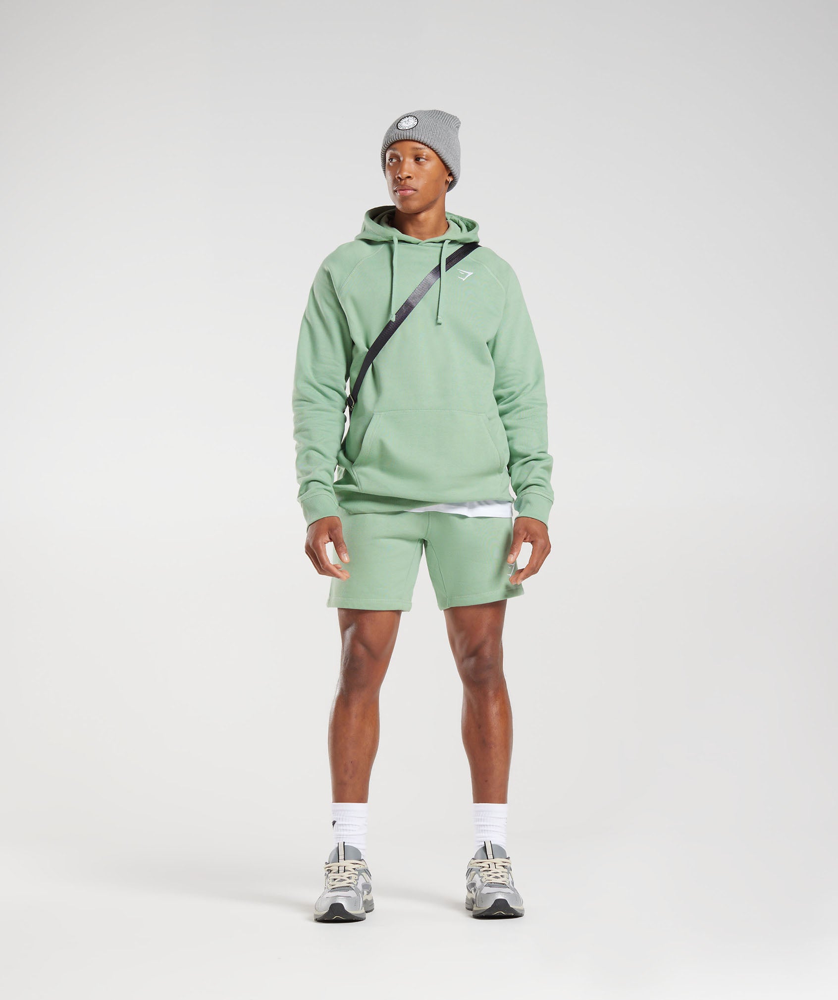 Crest Hoodie in Desert Sage Green - view 4