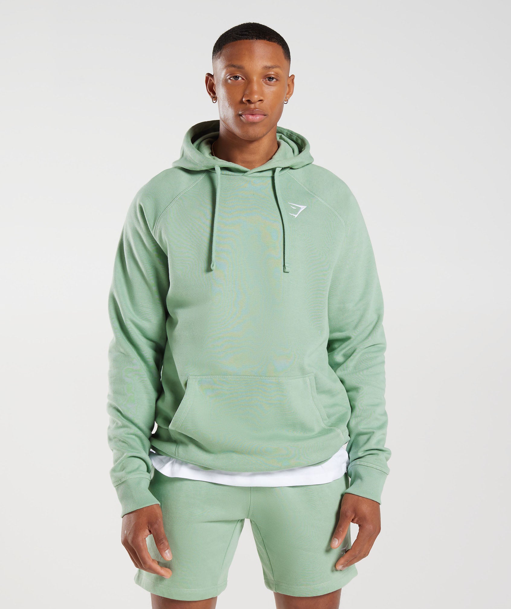 Crest Hoodie in Desert Sage Green - view 1