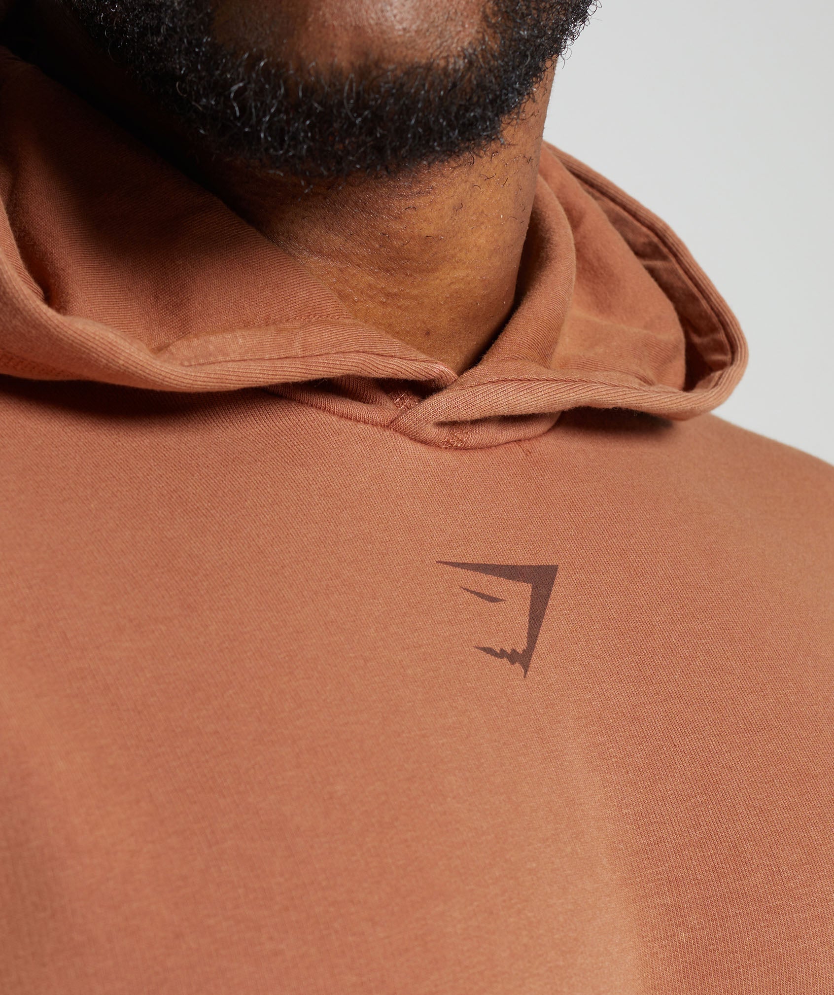 Heritage Washed Hoodie in Canyon Brown - view 7