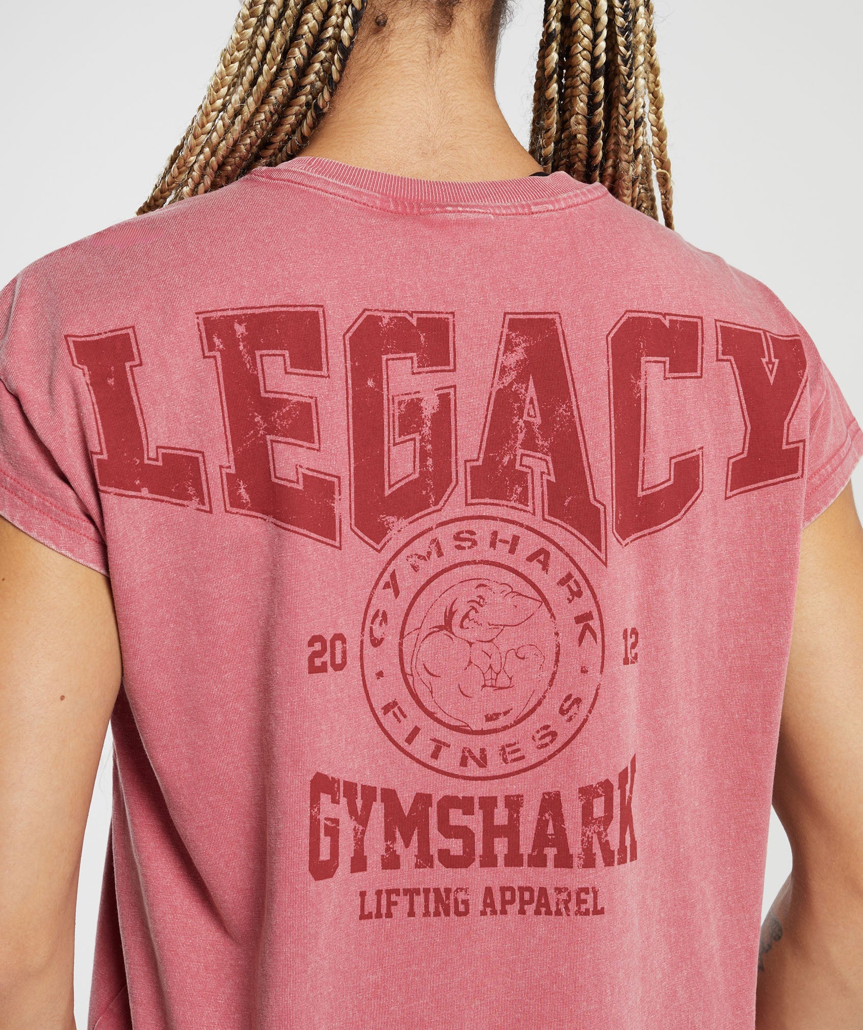 Legacy Washed Oversized T-Shirt in Vintage Pink - view 5