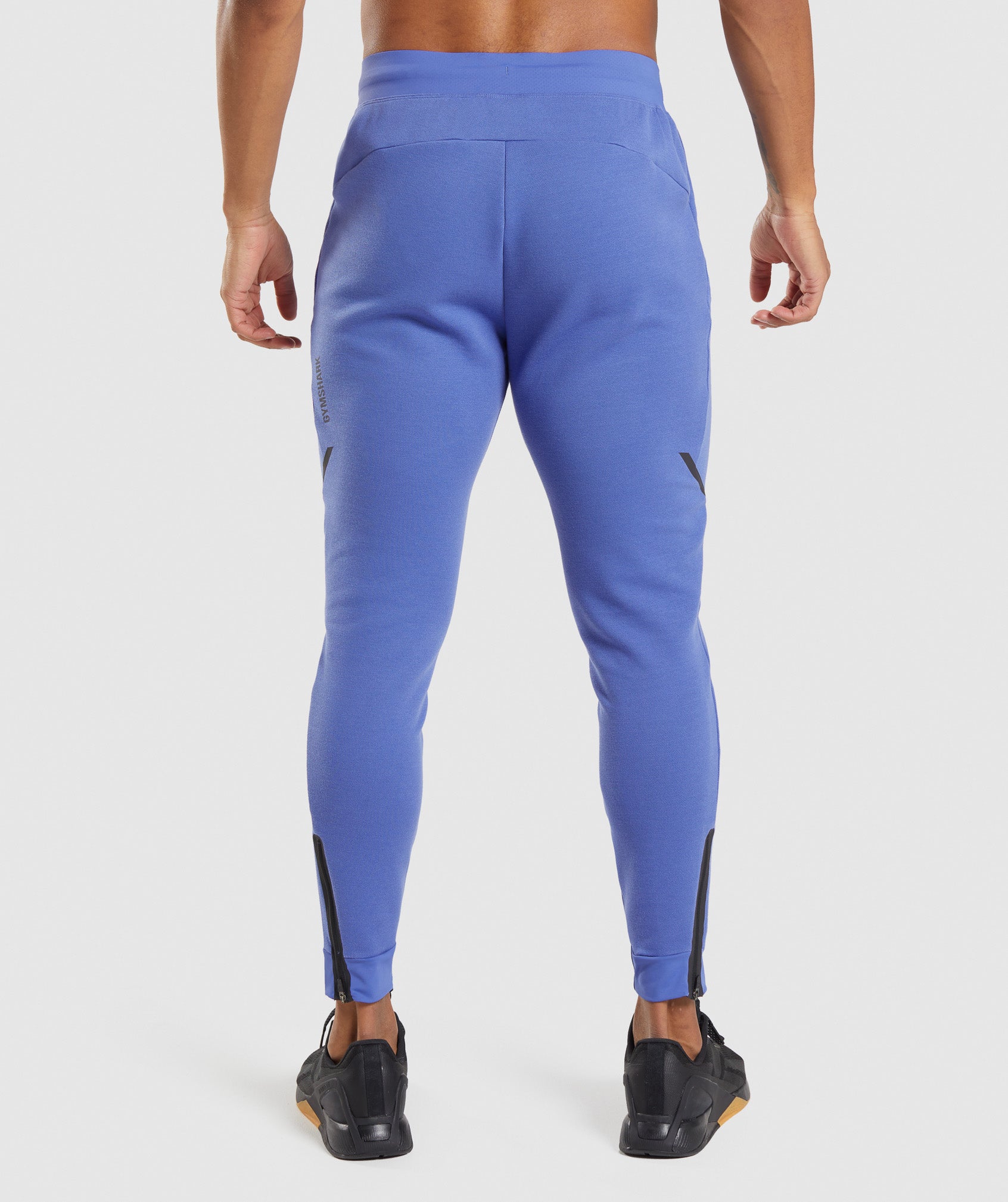 Apex Technical Joggers in Court Blue - view 2