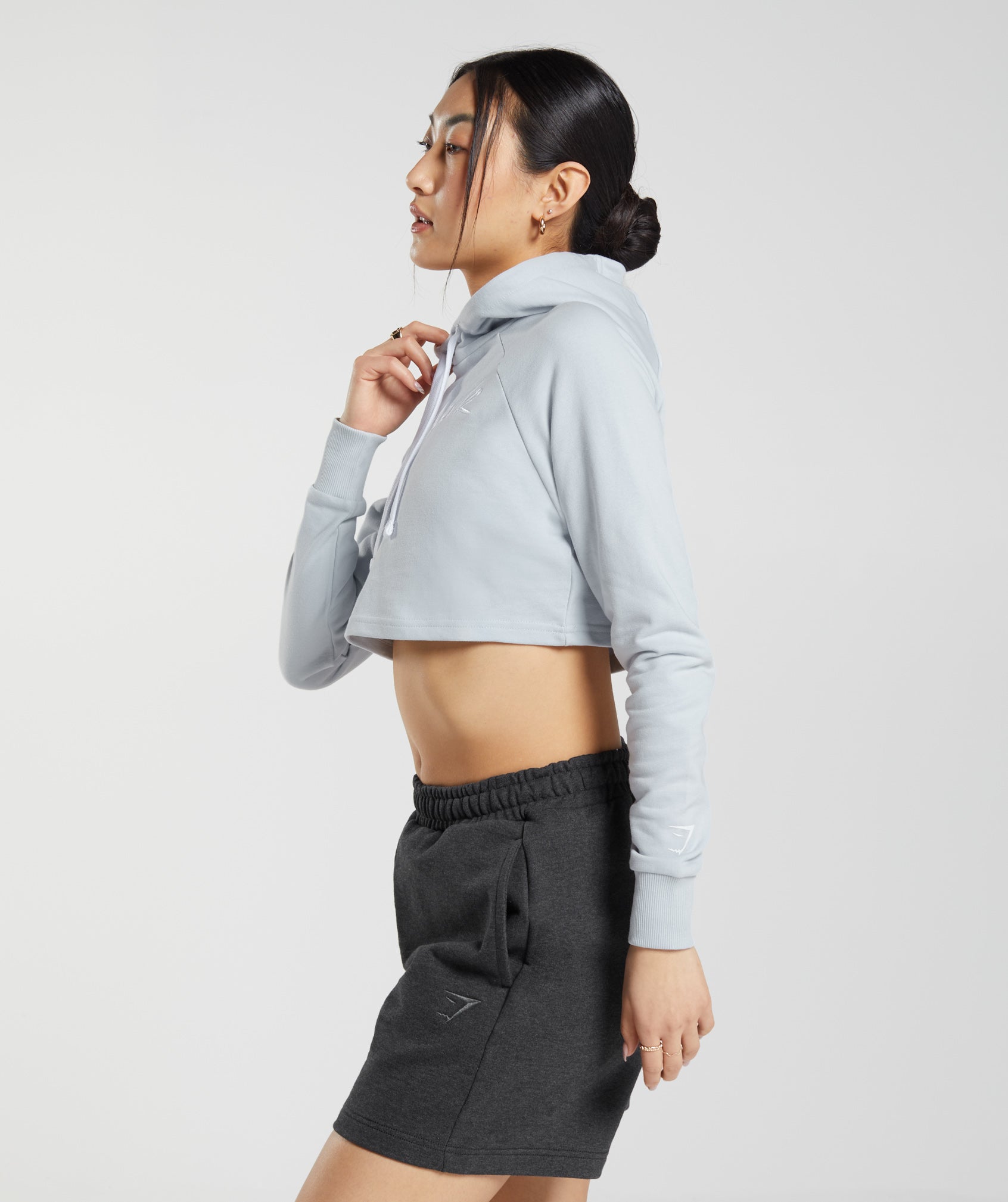 Embroidered Graphic Cropped Hoodie in River Stone Grey