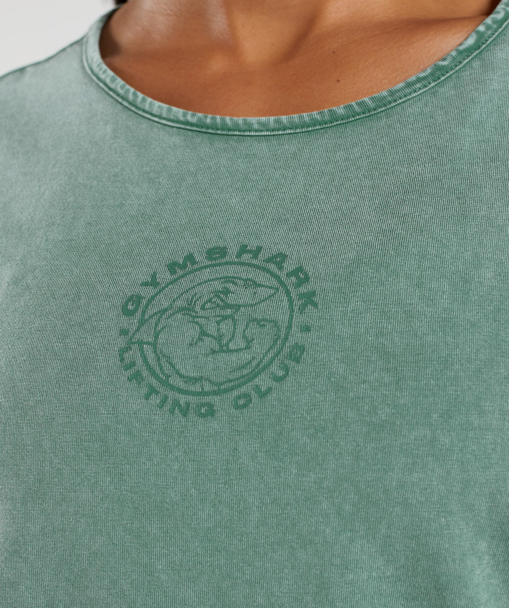 Legacy Washed Long Sleeve Top in Hoya Green - view 5