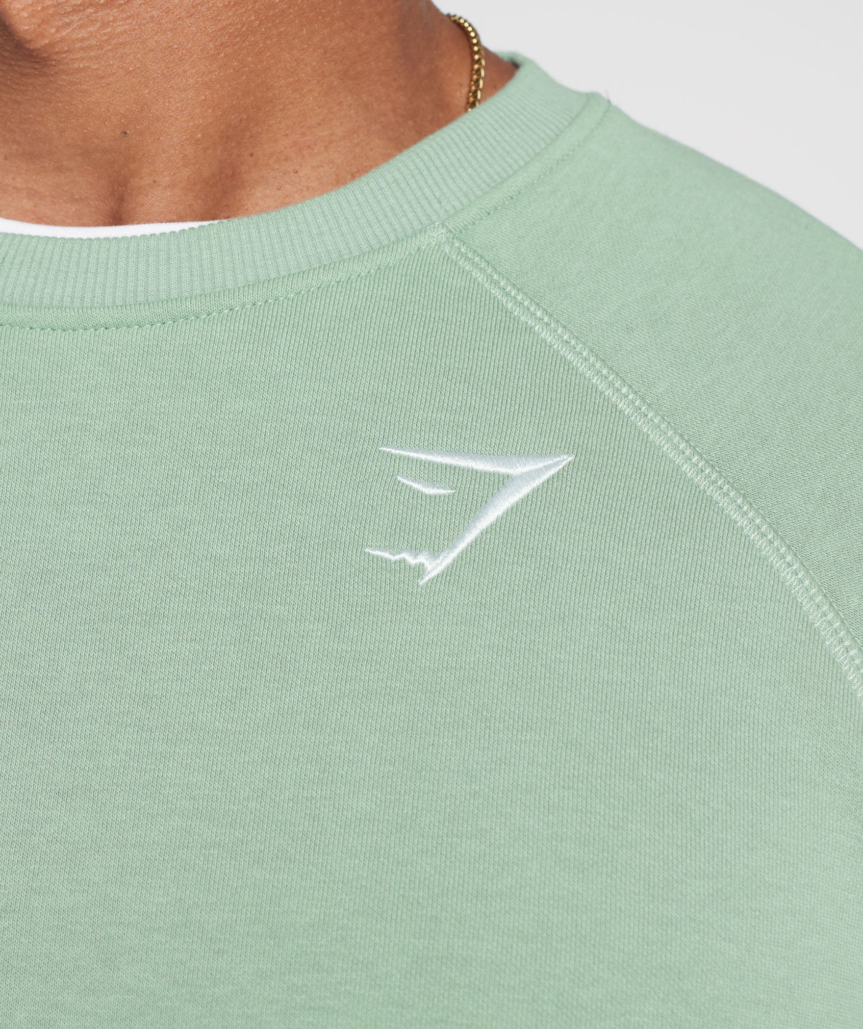 Crest Sweatshirt in Desert Sage Green