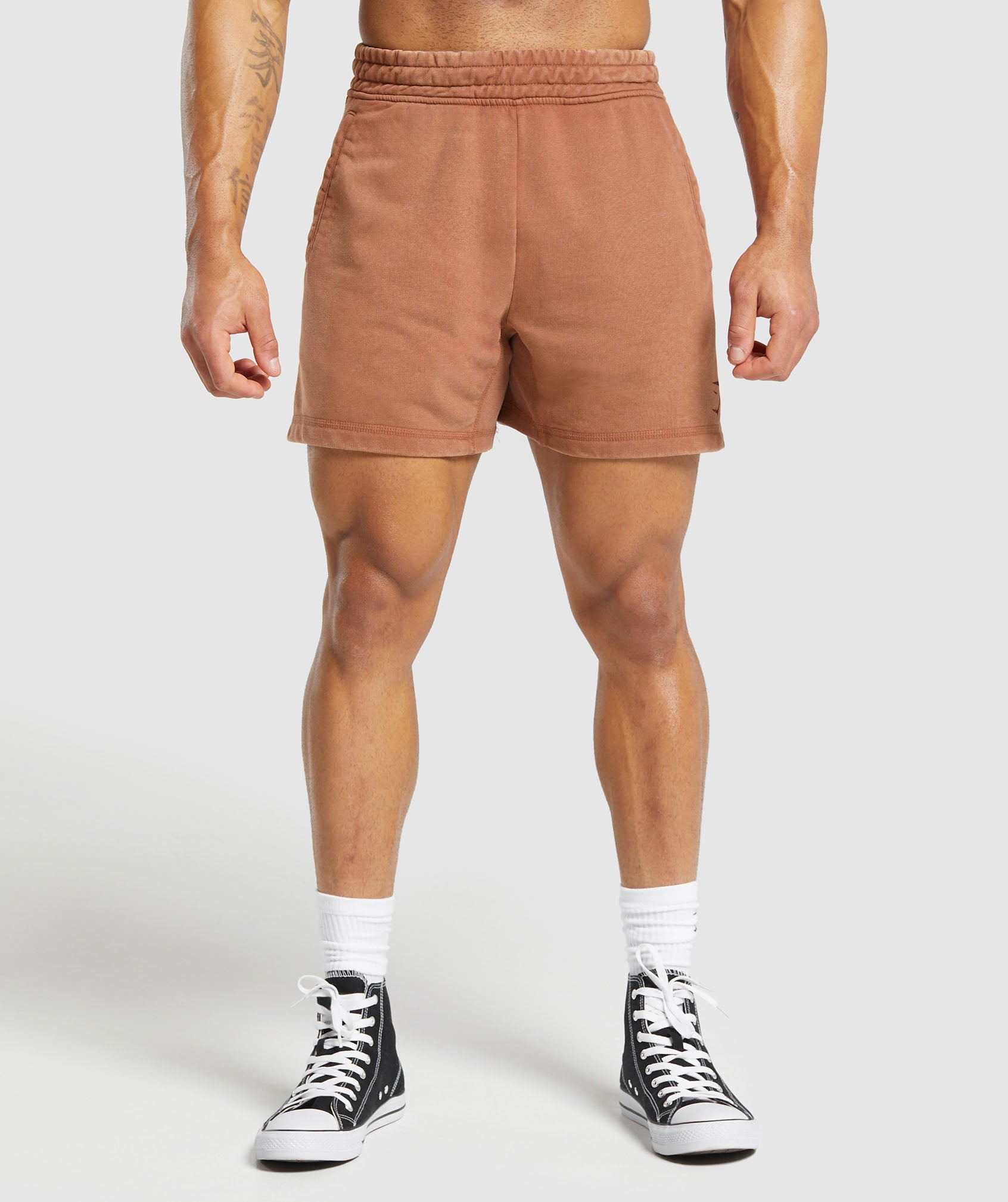 Power Washed 5" Shorts in Canyon Brown - view 1
