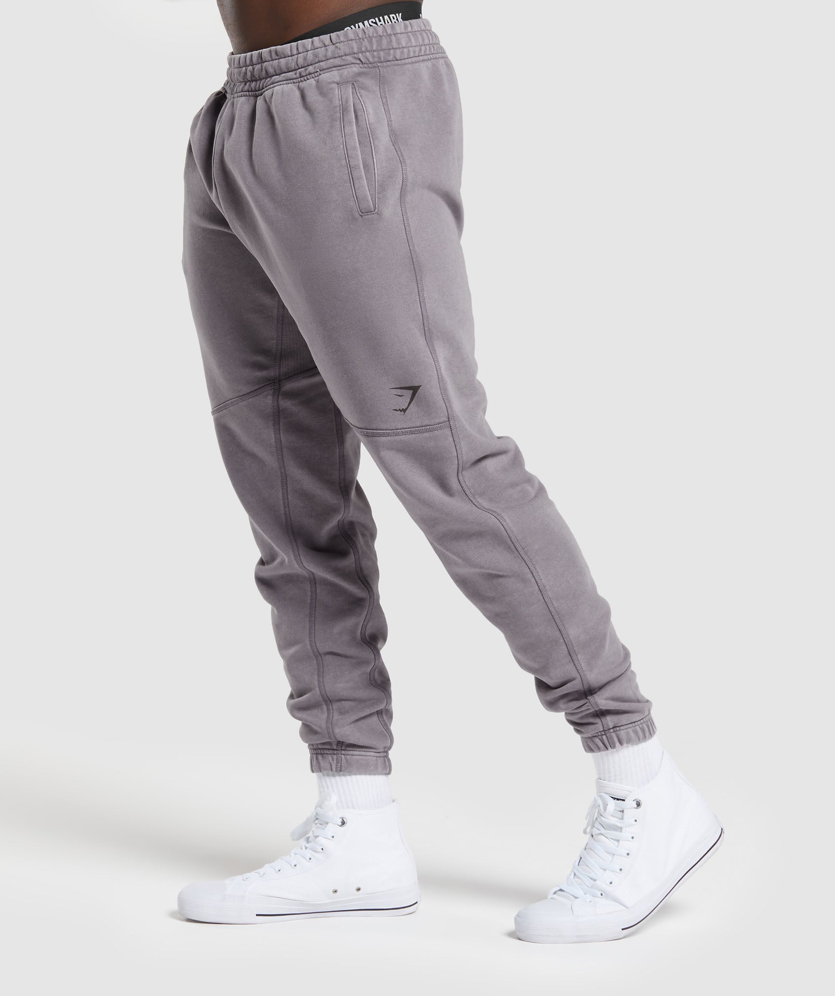 Power Washed Joggers in Fog Purple - view 3
