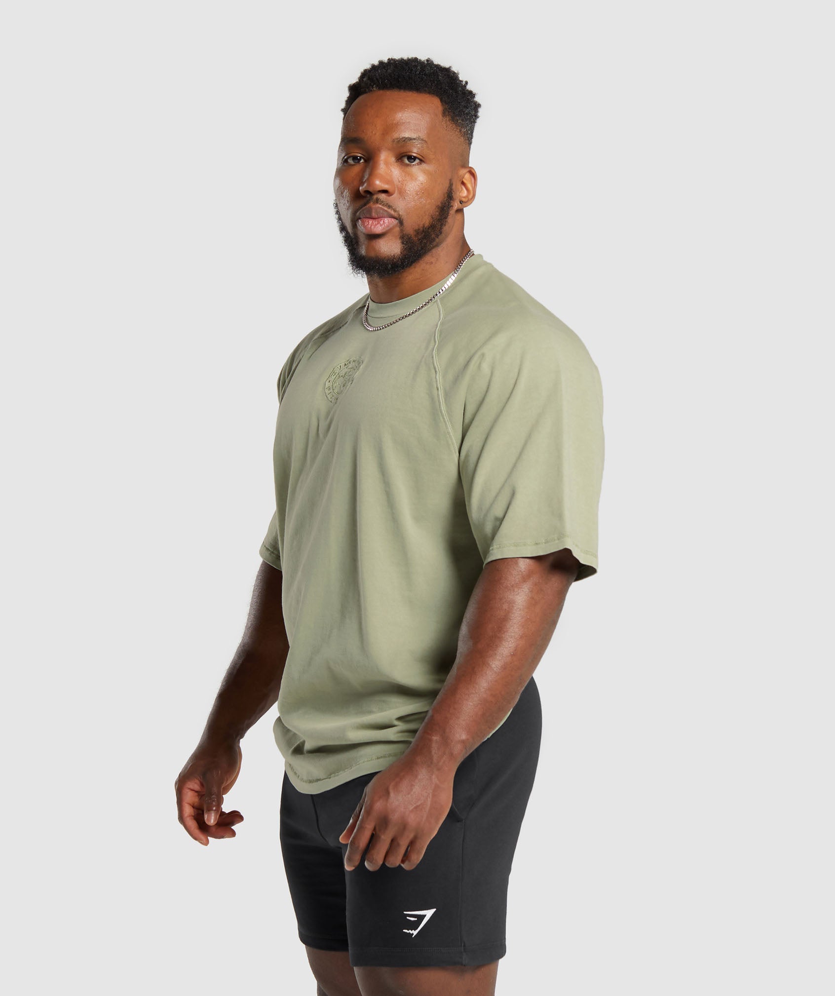 Premium Legacy T-Shirt in Natural Sage Green - view 3