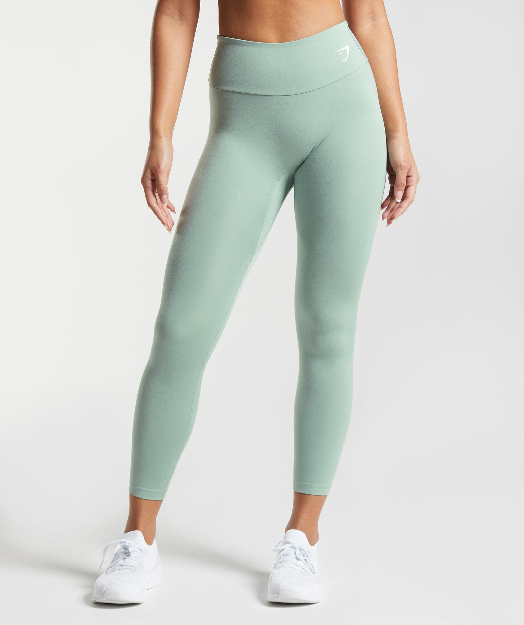 Fraction Leggings in Desert Sage Green