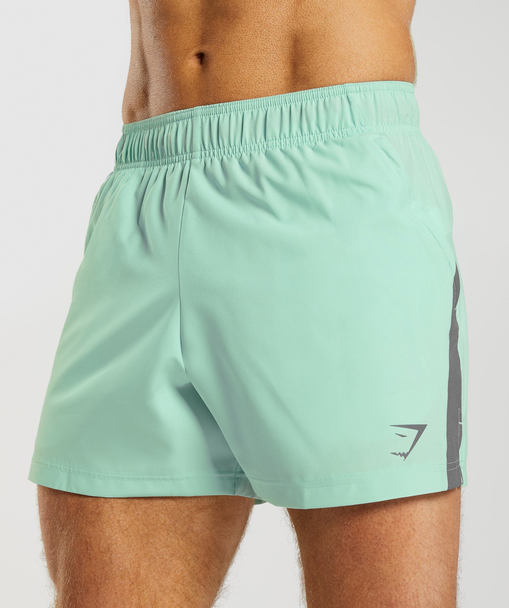 Sport 5" Shorts in Pastel Green/Silhouette Grey