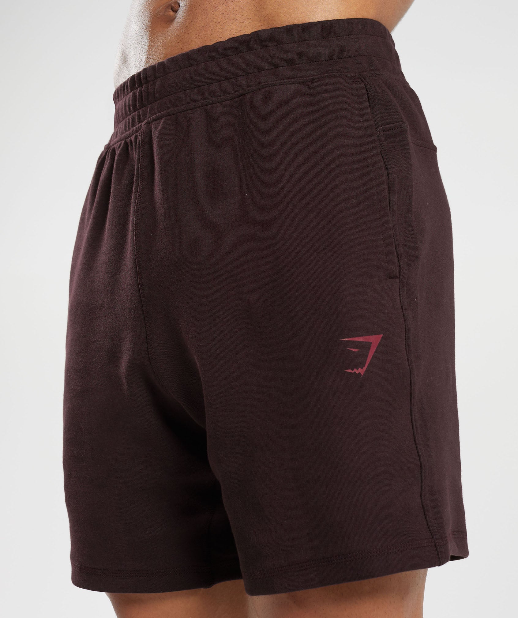 Bold 7" Shorts in Plum Brown - view 6