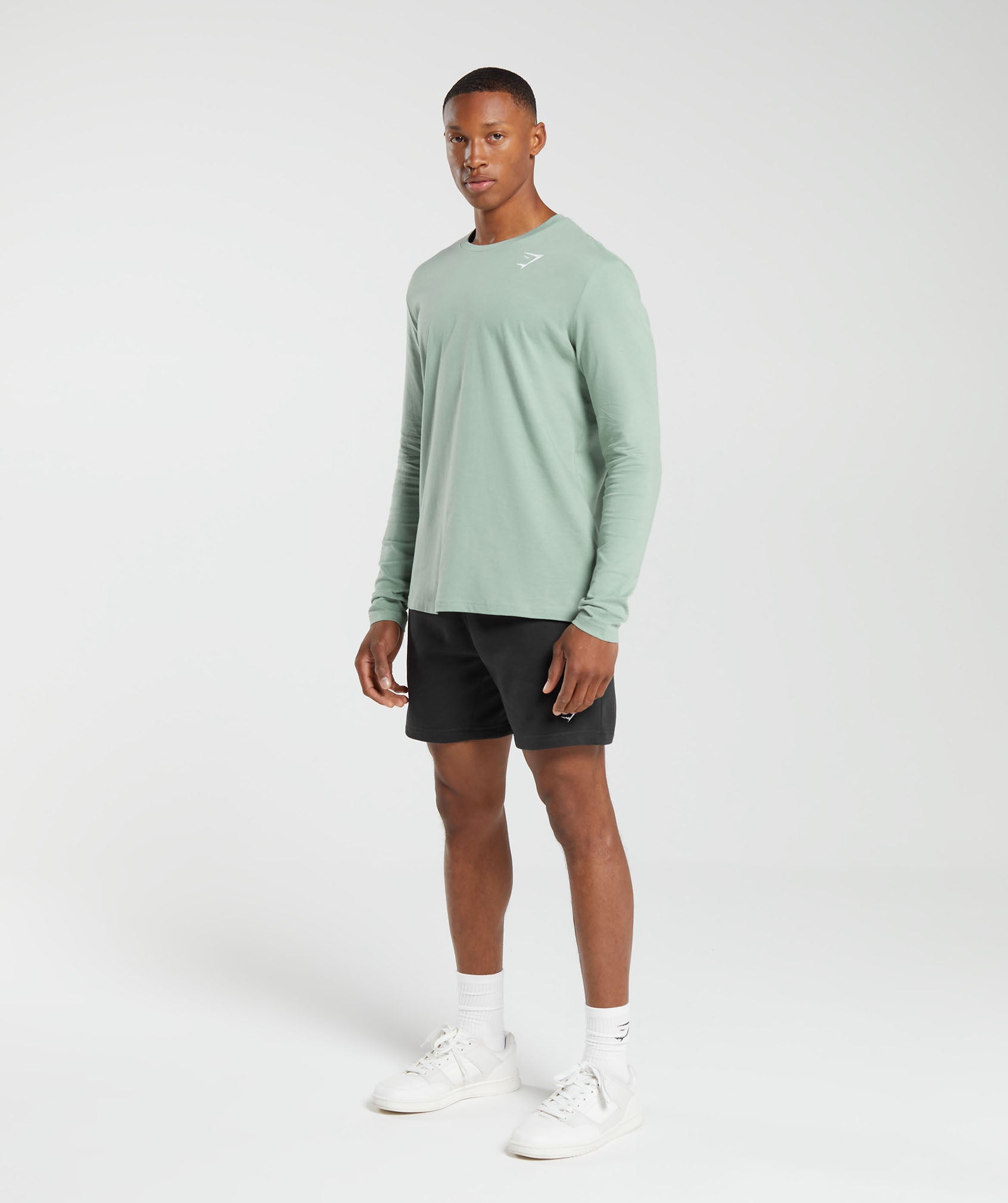 Crest Long Sleeve T-Shirt in Desert Sage Green - view 4