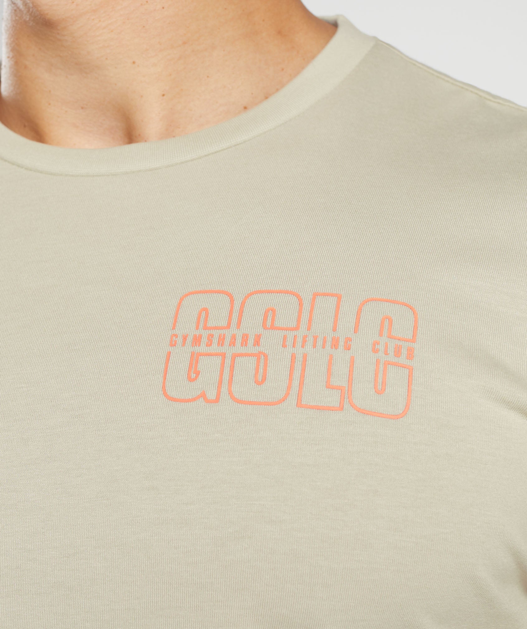 Lifting Club T-Shirt in Washed Stone Brown - view 5