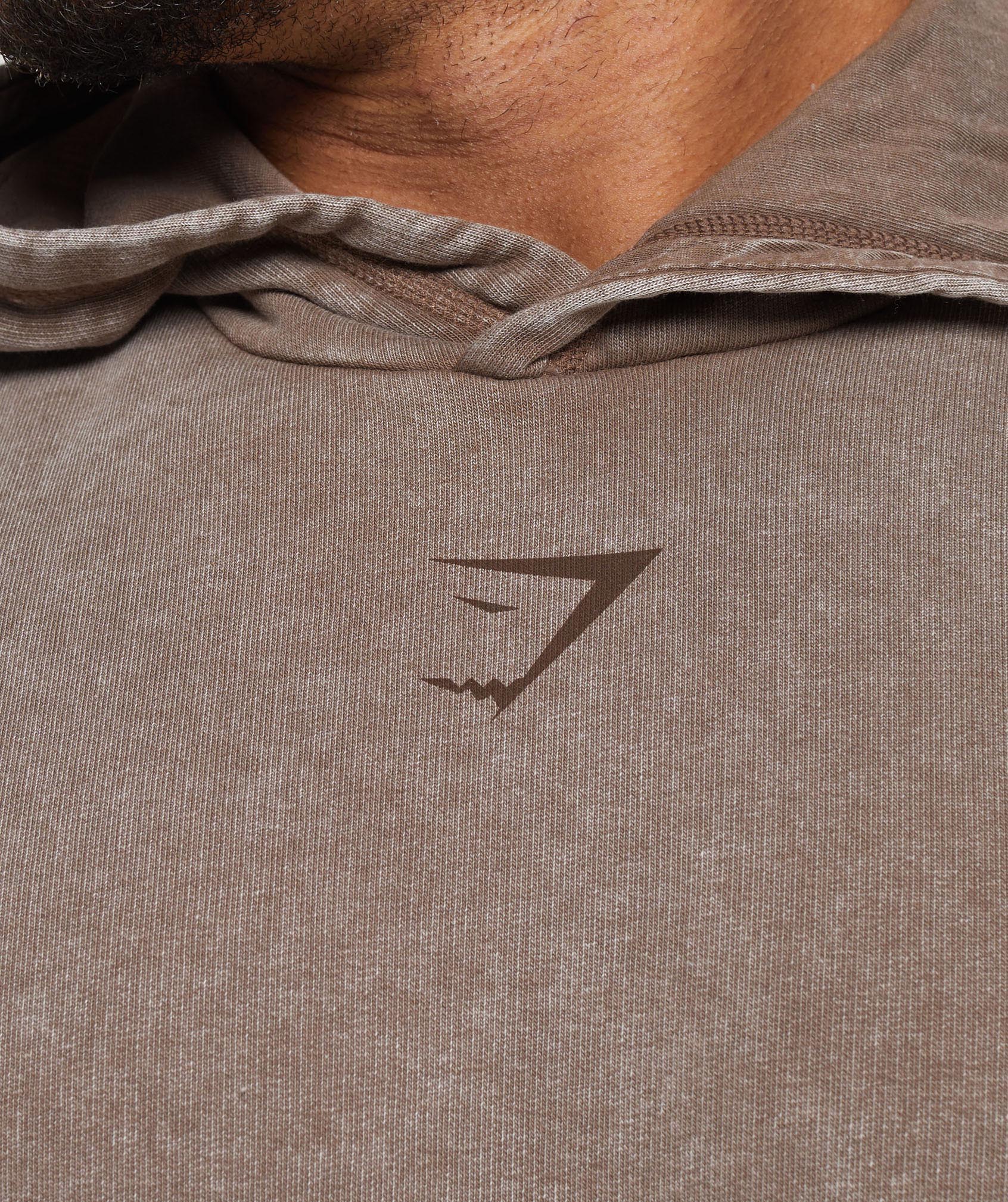 Heritage Washed Hoodie in Penny Brown - view 6