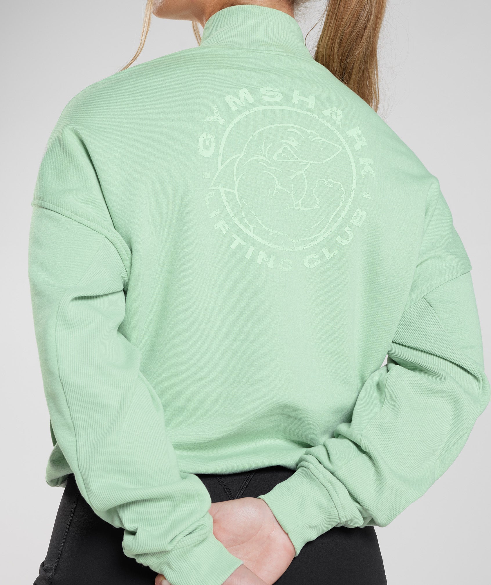 Legacy 1/4 Zip Sweatshirt in Mist Green - view 3